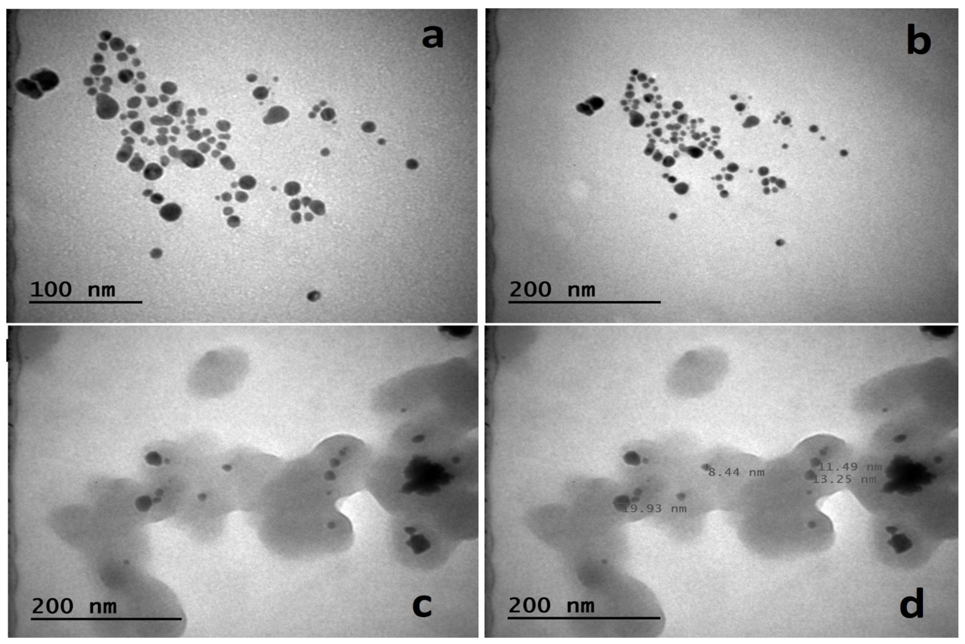 Molecules 28 02310 g003 Molecules 28 02310 g003