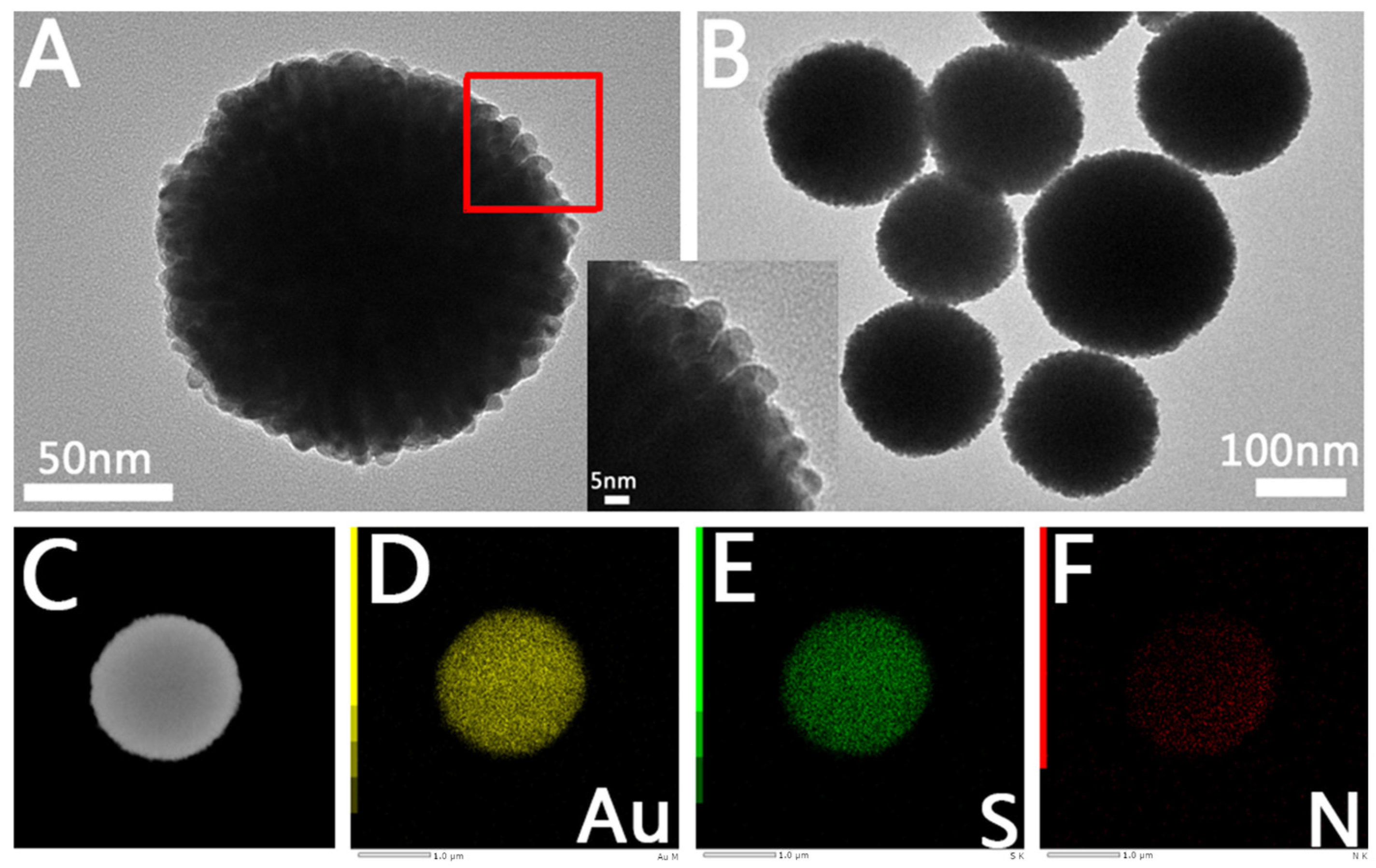 Molecules 28 02316 g002