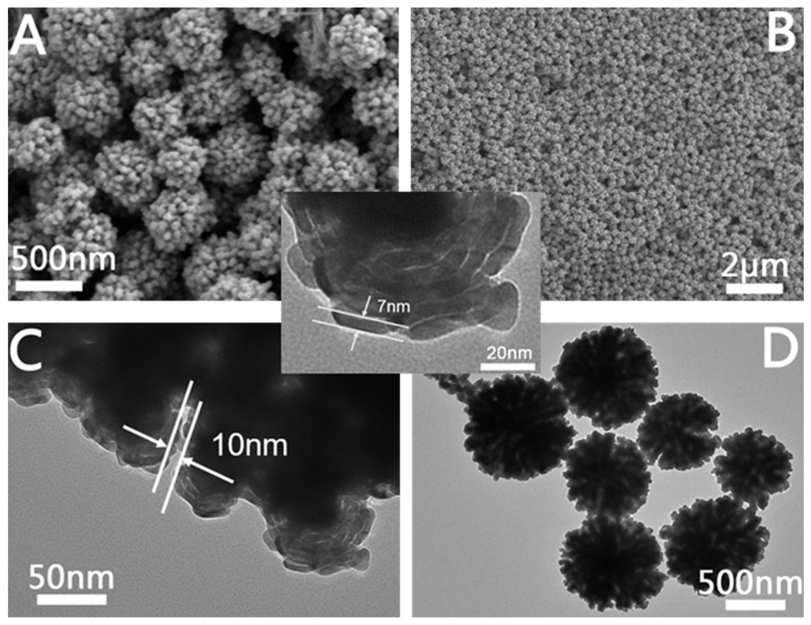 Molecules 28 02316 g004