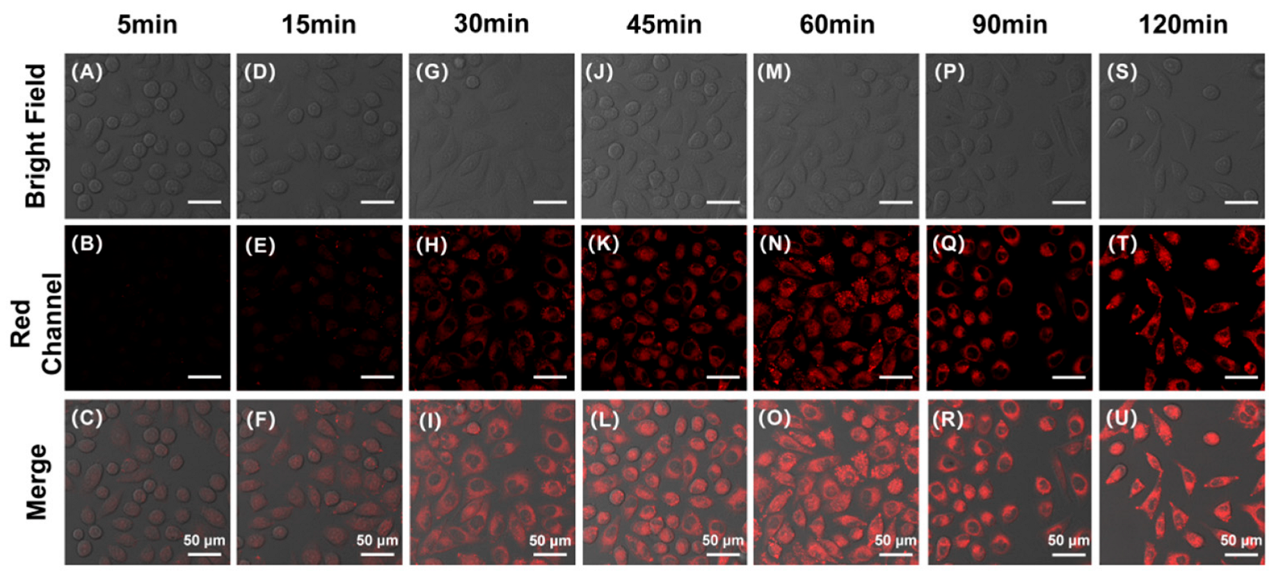 Molecules 28 02317 g004