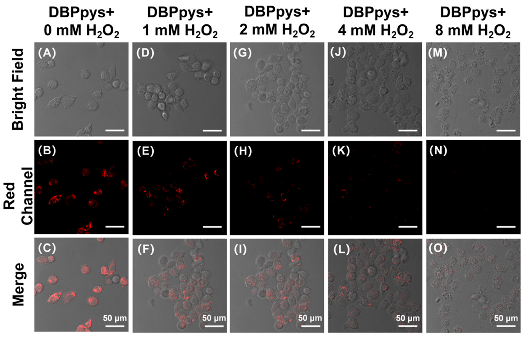 Molecules 28 02317 g005