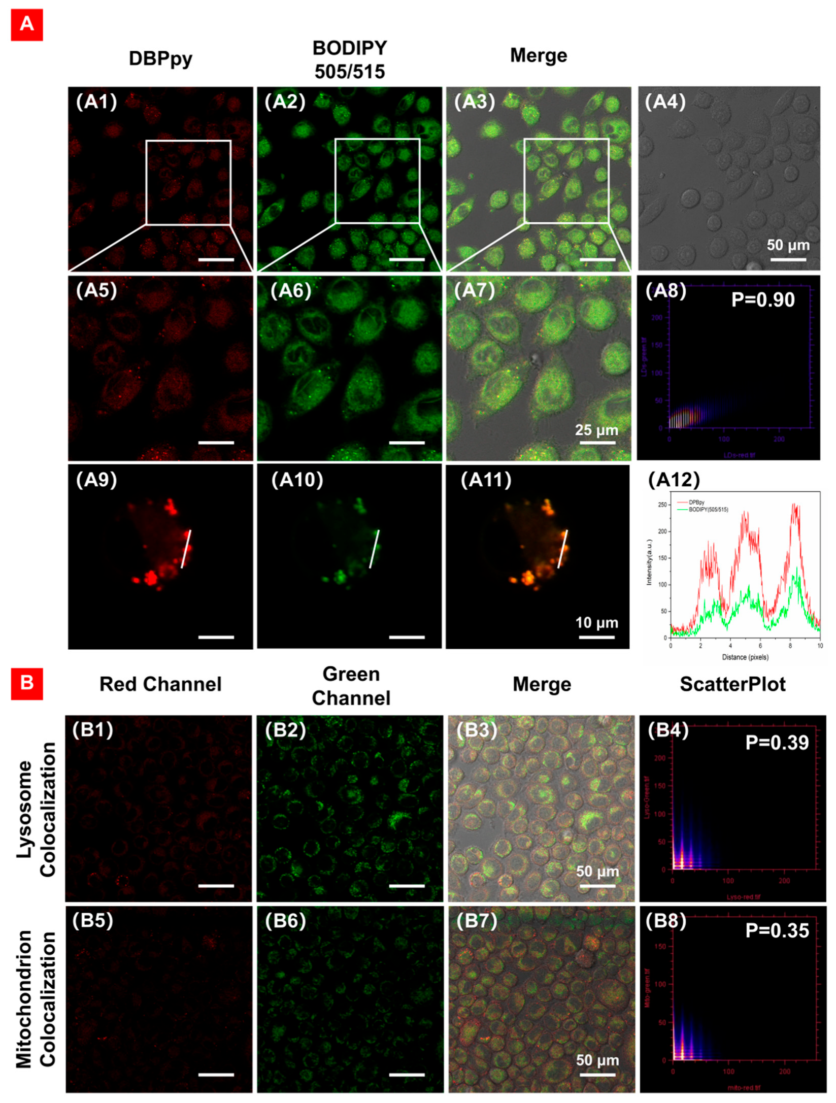 Molecules 28 02317 g006