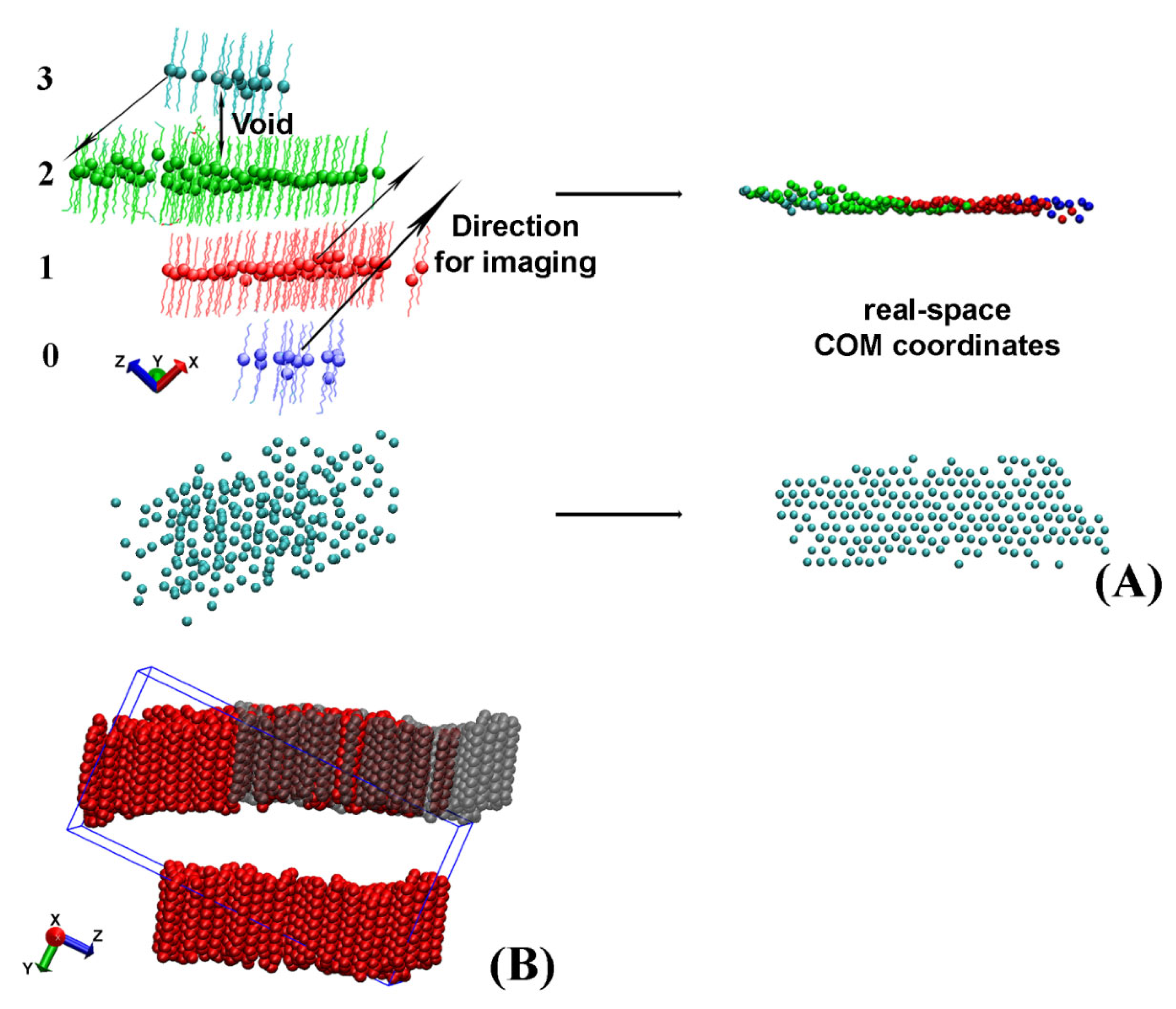 Molecules 28 02327 g003