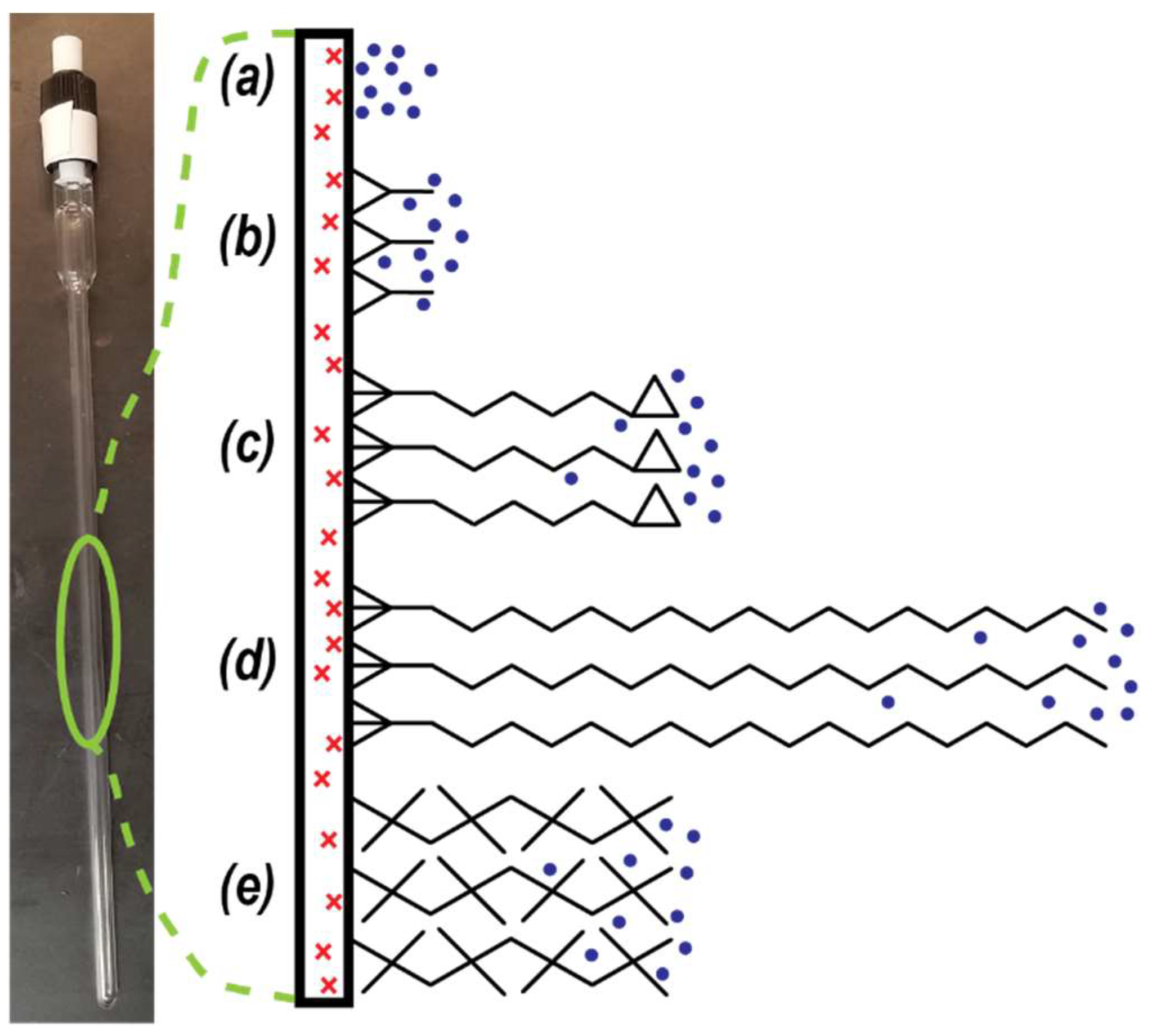 Molecules 28 02329 g001