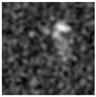 Molecules 28 02334 i002