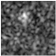 Molecules 28 02334 i004