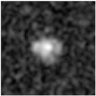 Molecules 28 02334 i005