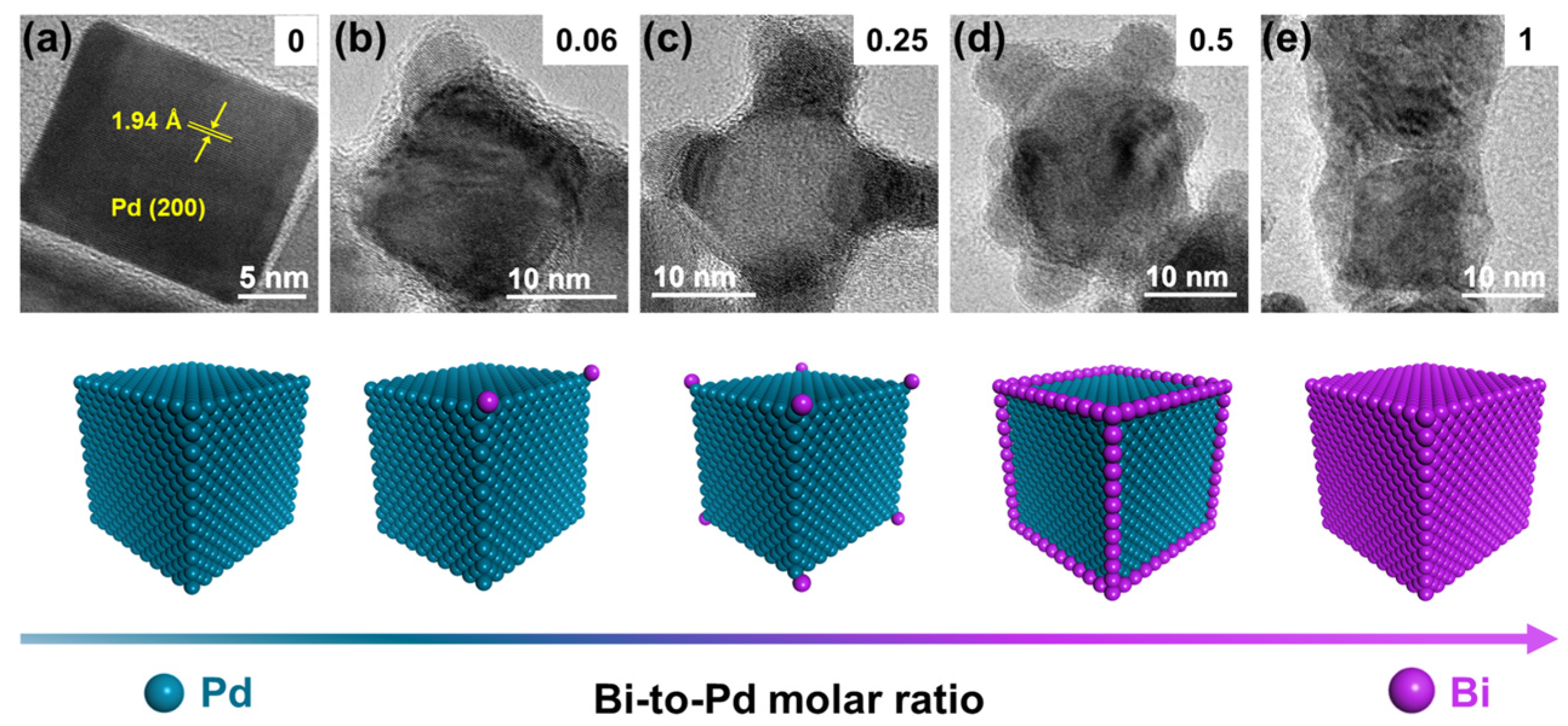Molecules 28 02335 g001