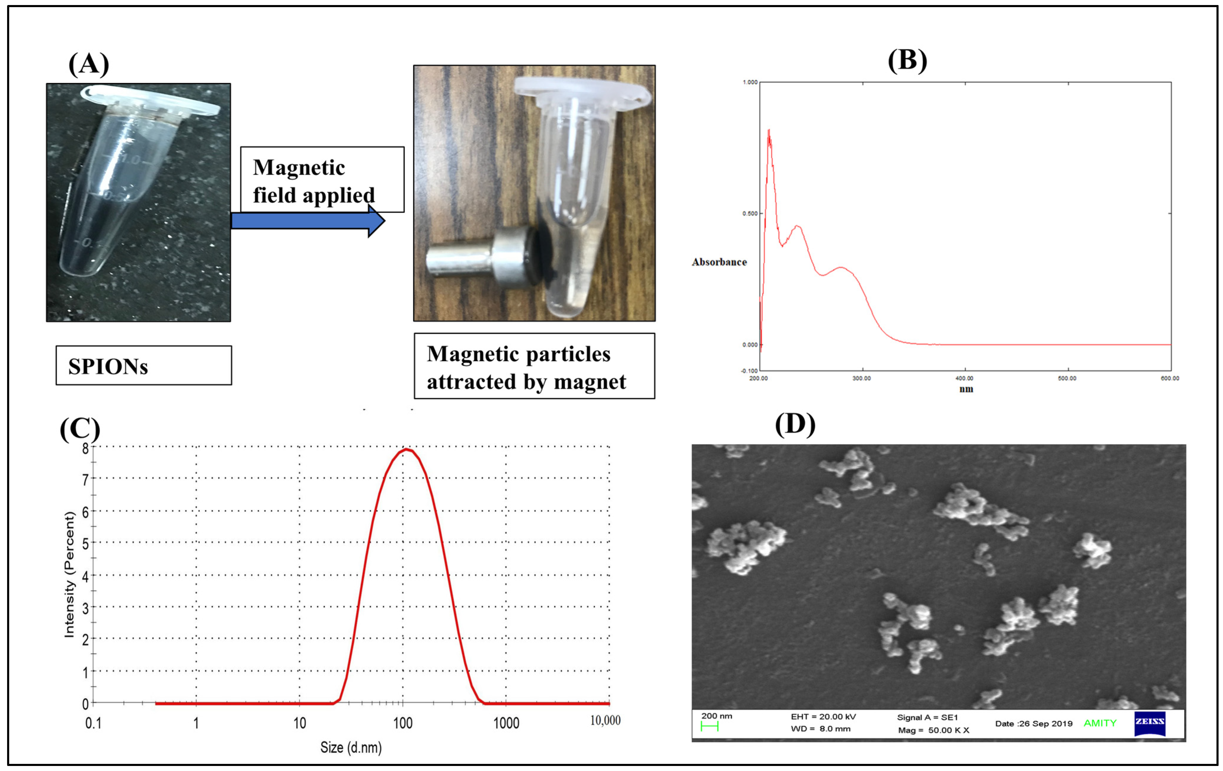Molecules 28 02343 g001