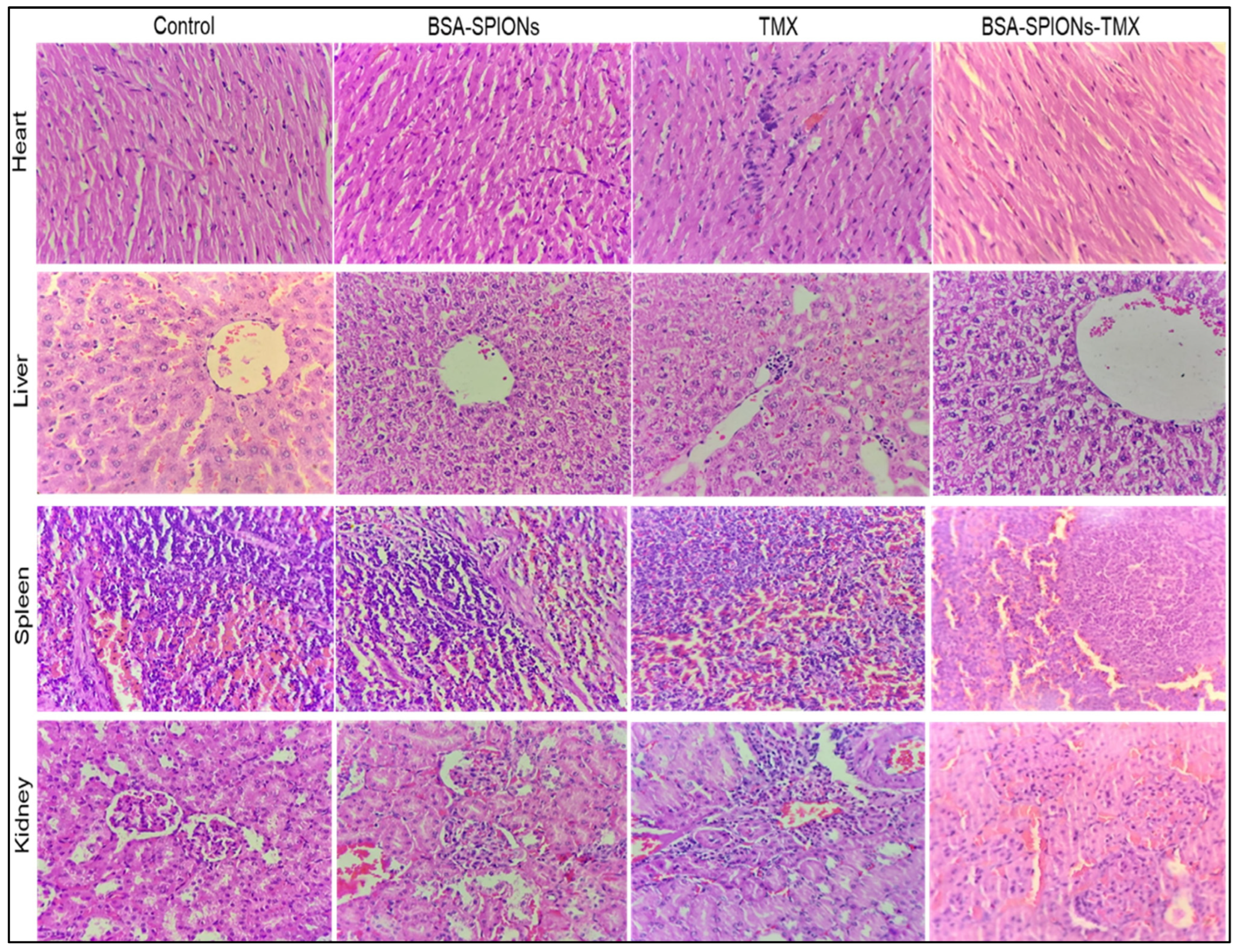 Molecules 28 02343 g010