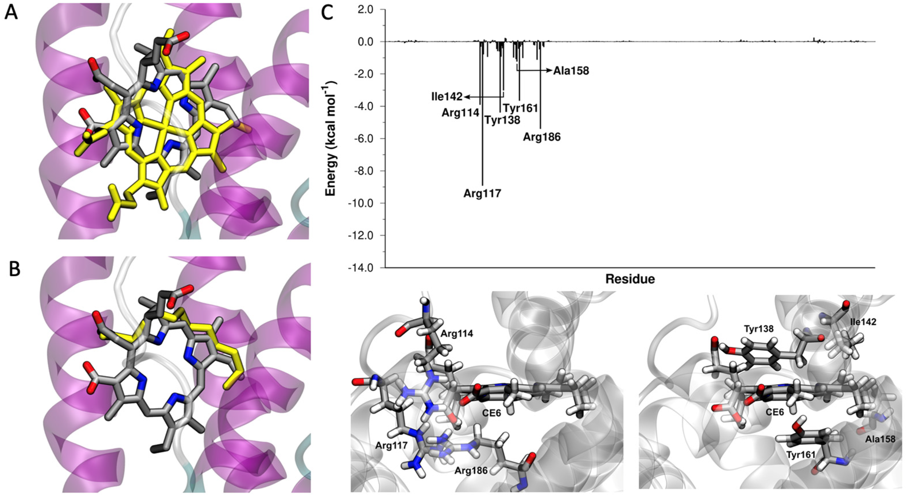 Molecules 28 02348 g004