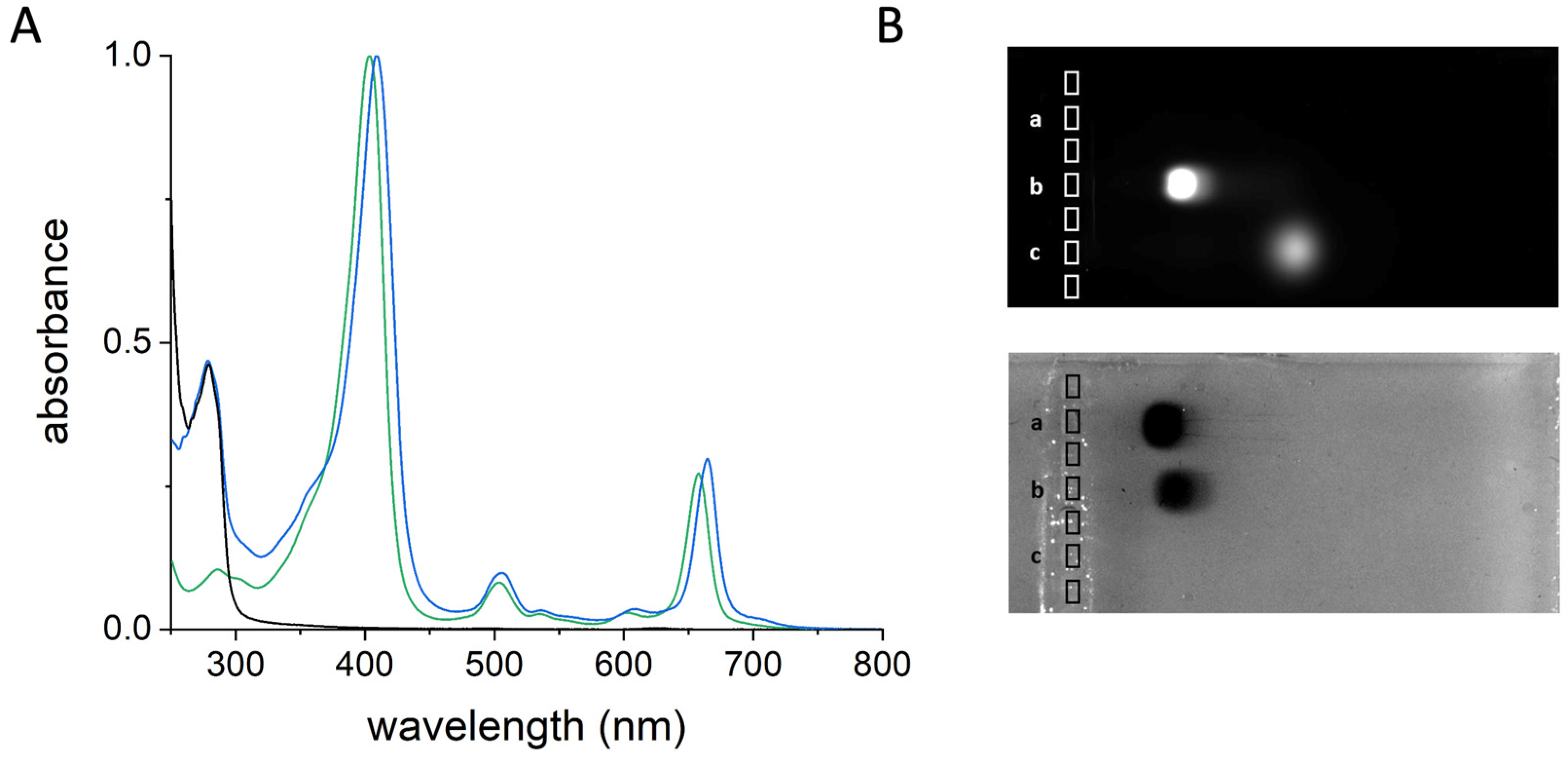 Molecules 28 02348 g005