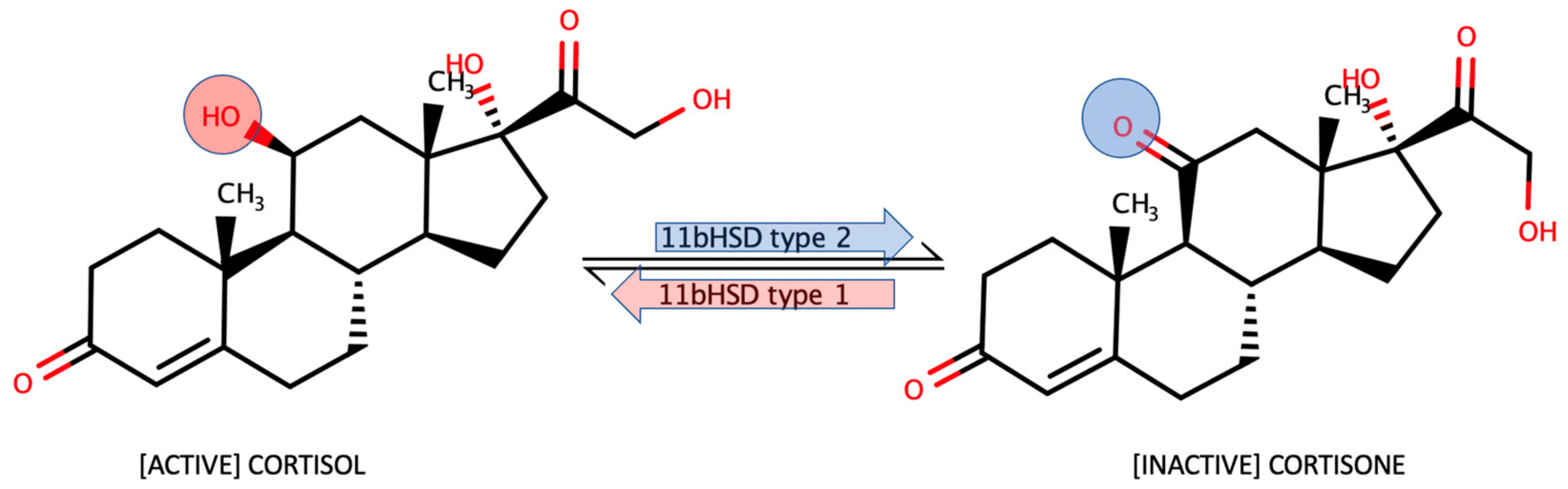 Molecules 28 02353 g001