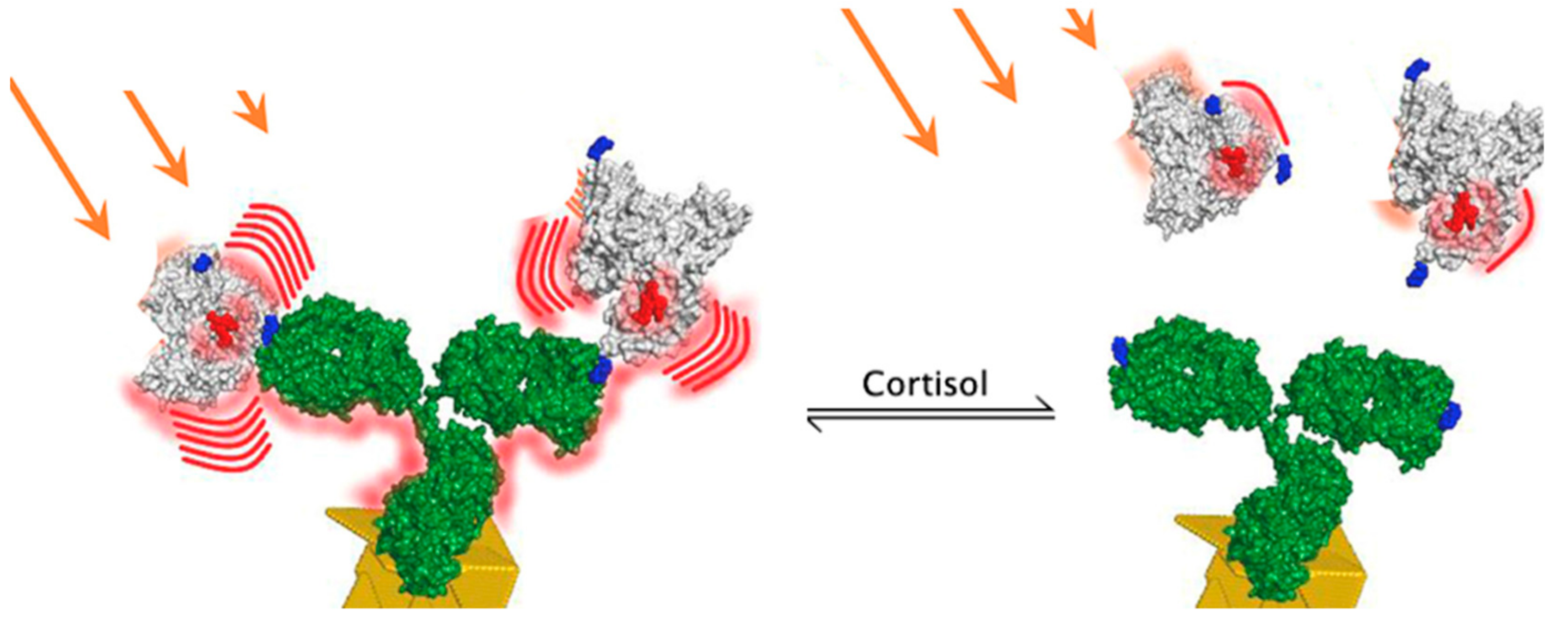 Molecules 28 02353 g006