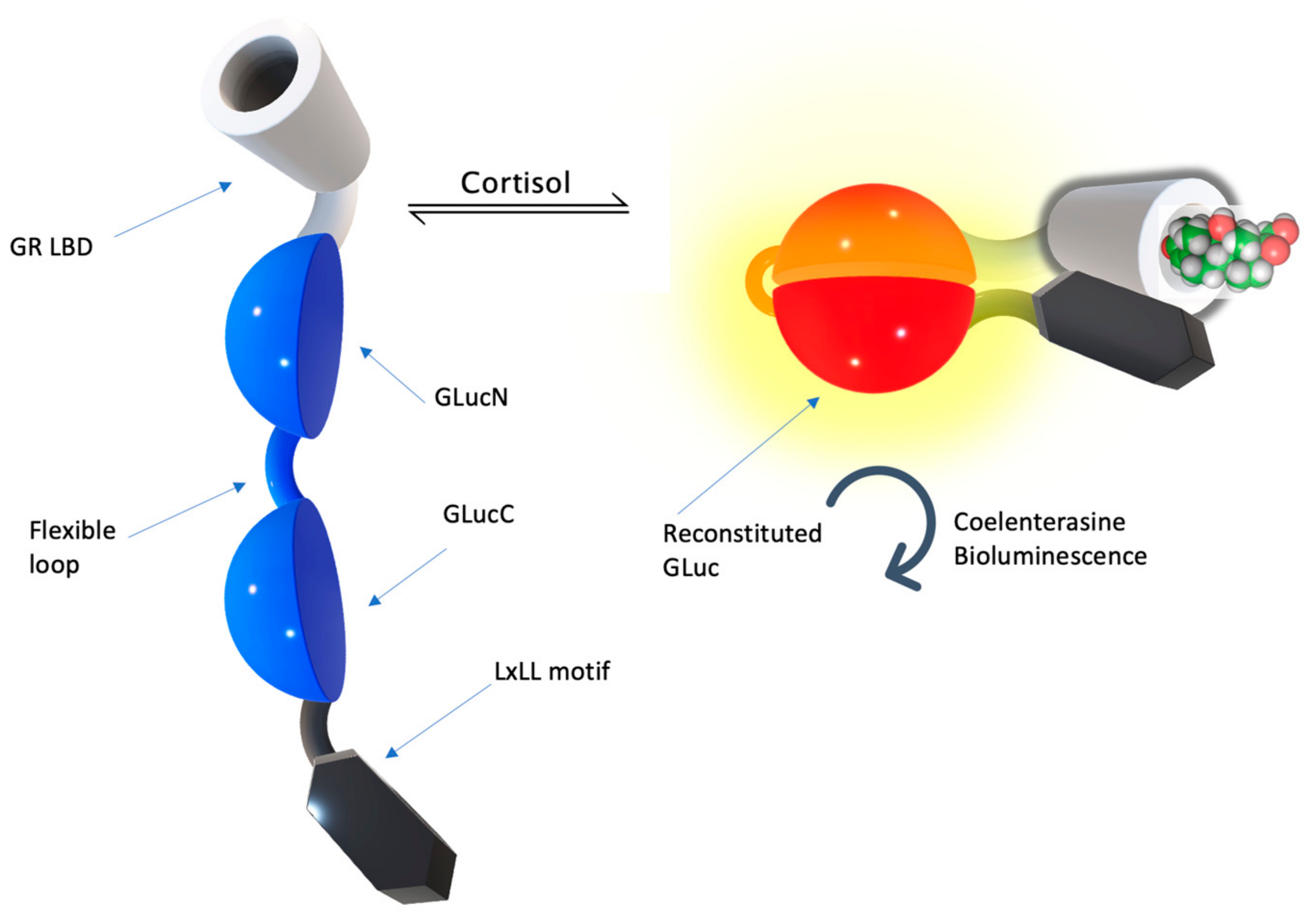 Molecules 28 02353 g010