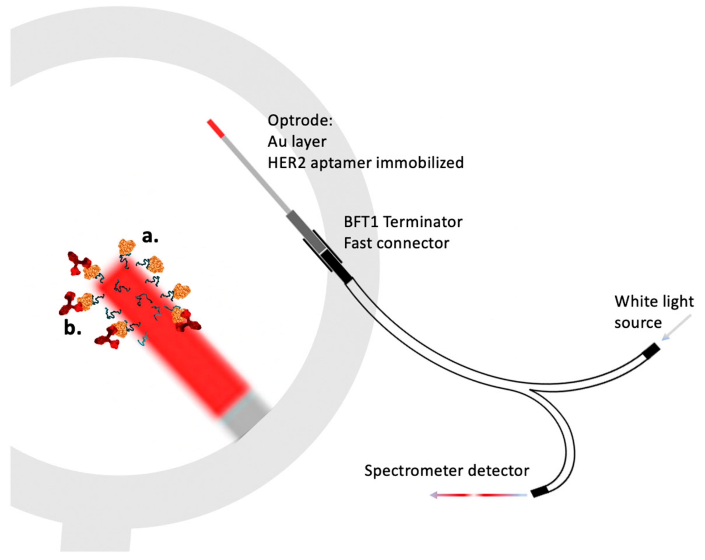 Molecules 28 02353 g011