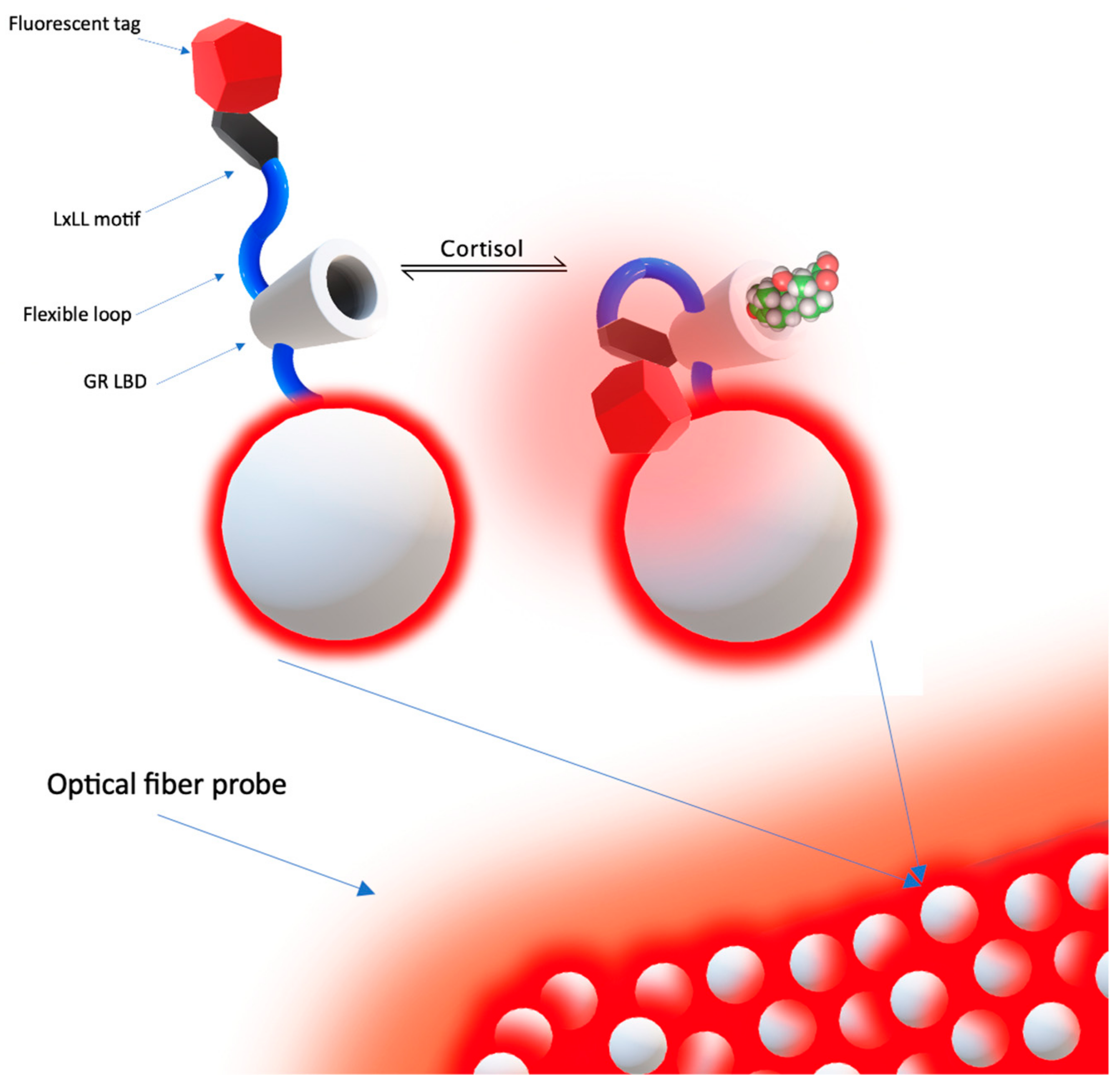 Molecules 28 02353 g012