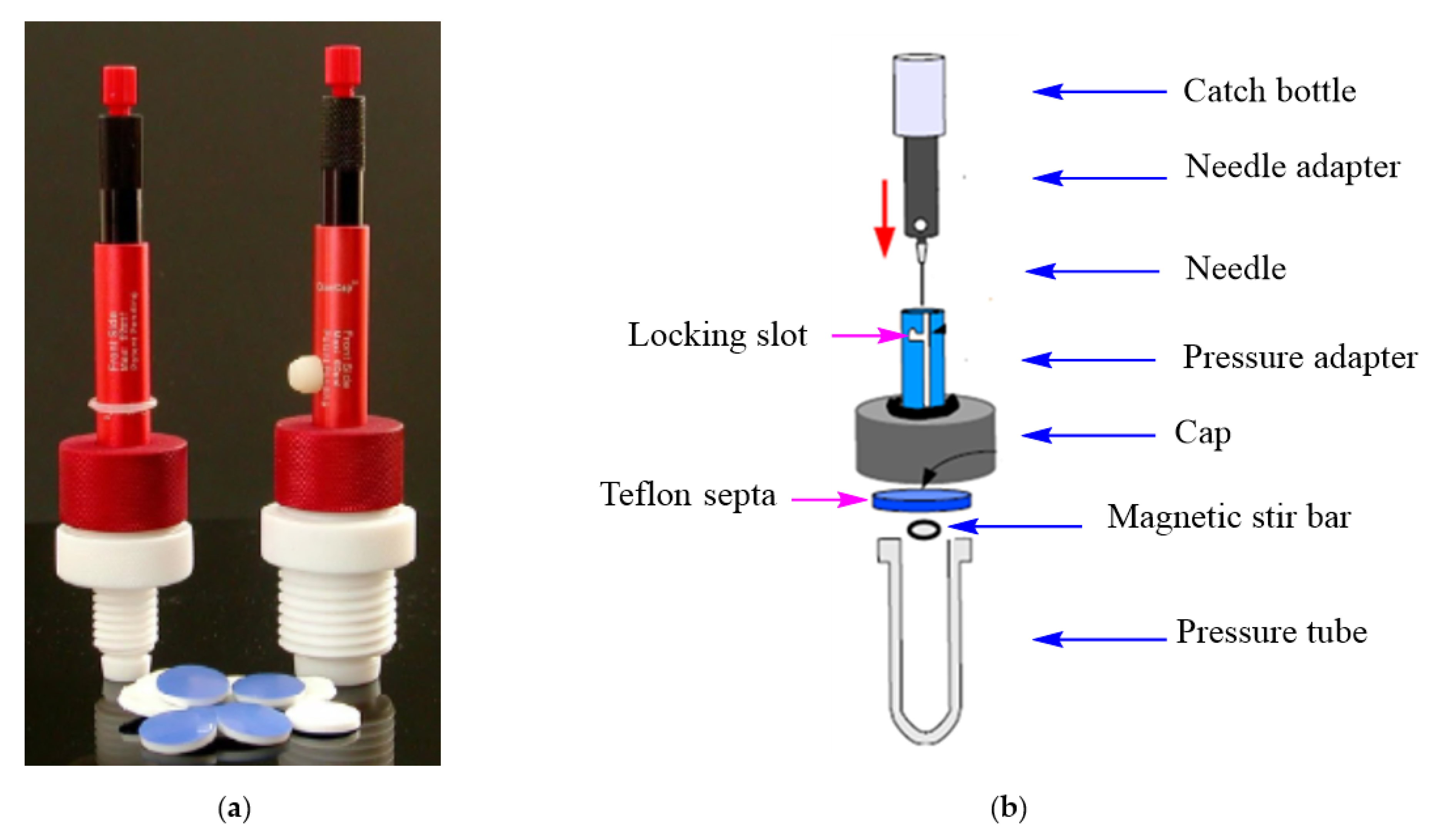 Molecules 28 02355 g003 Molecules 28 02355 g003