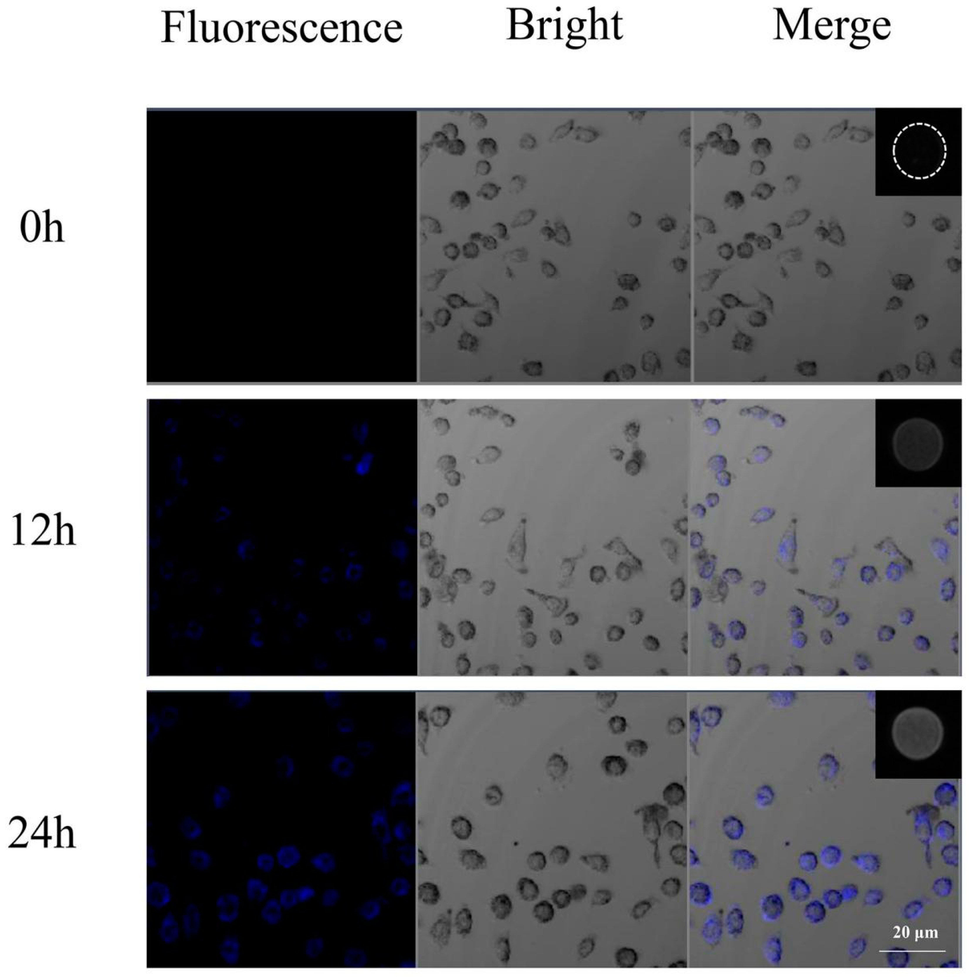 Molecules 28 02363 g006