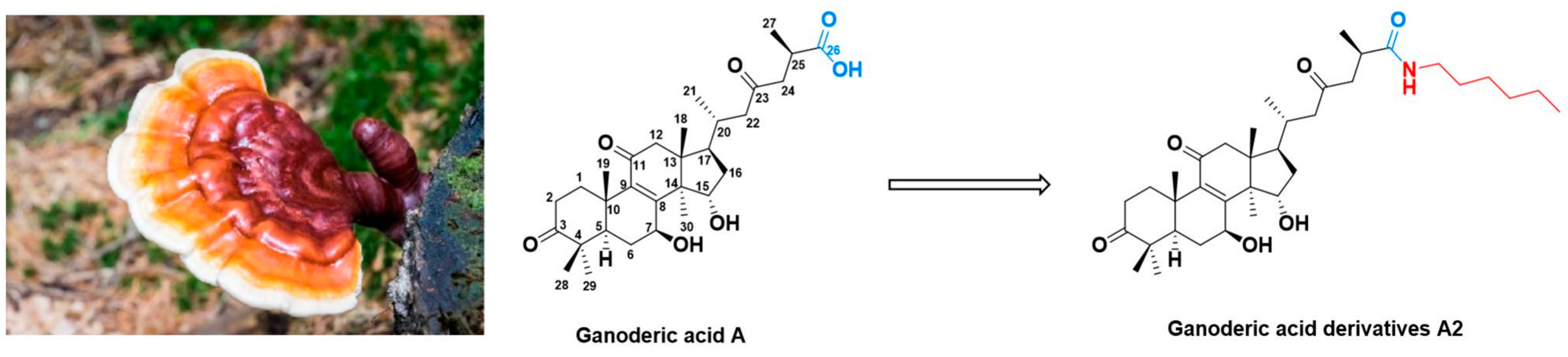 Molecules 28 02374 g001