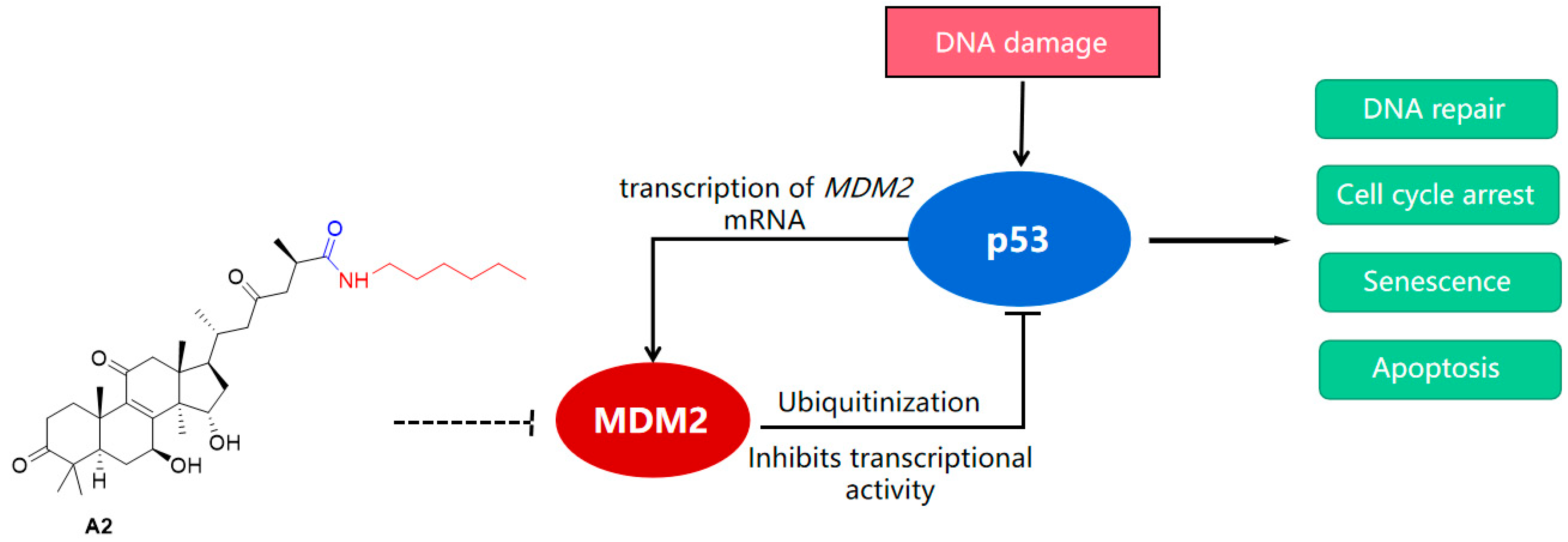 Molecules 28 02374 g002