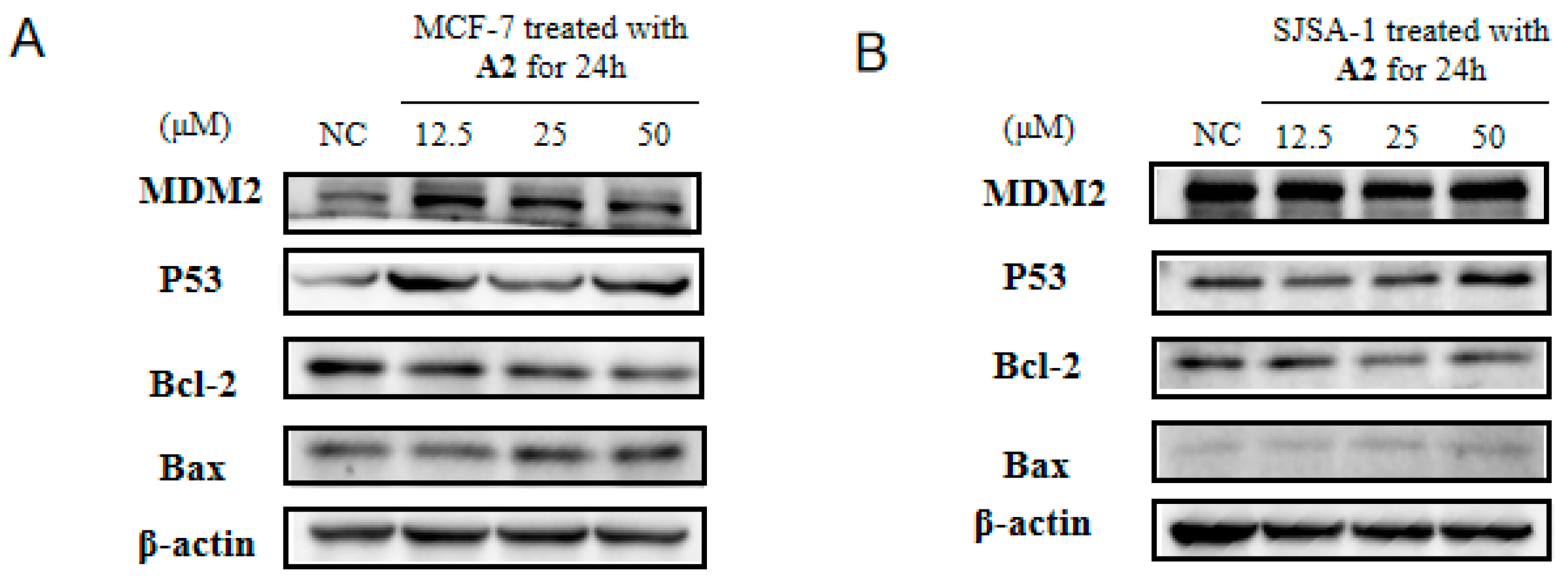 Molecules 28 02374 g005