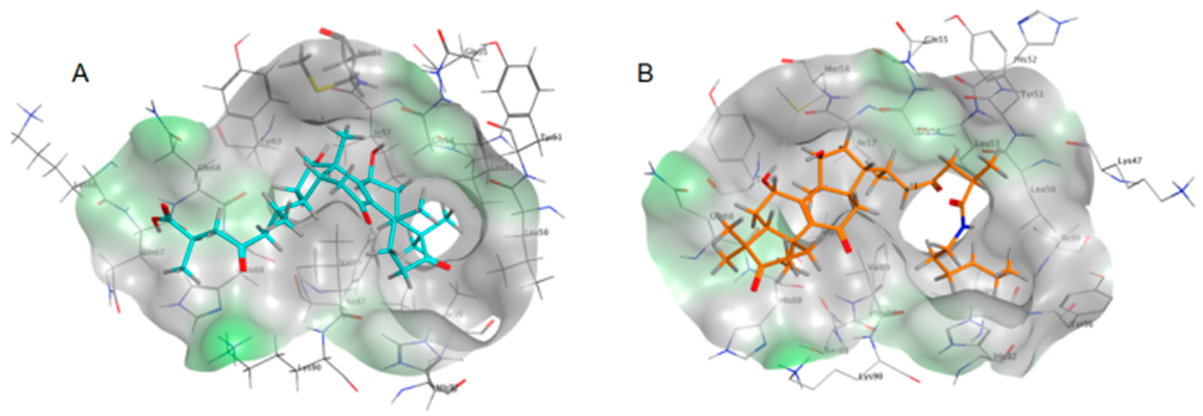Molecules 28 02374 g006