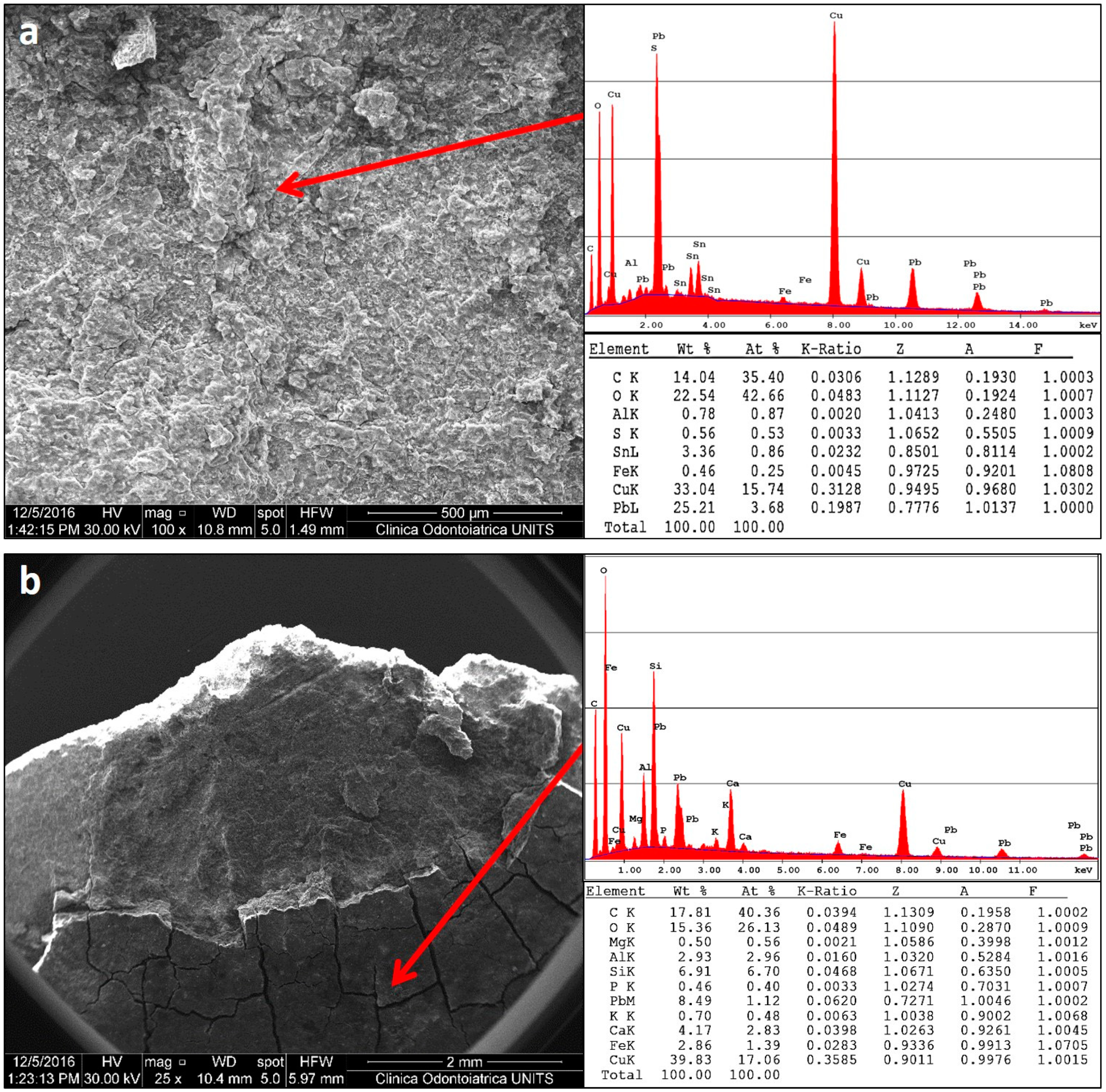 Molecules 28 02382 g003 Molecules 28 02382 g003