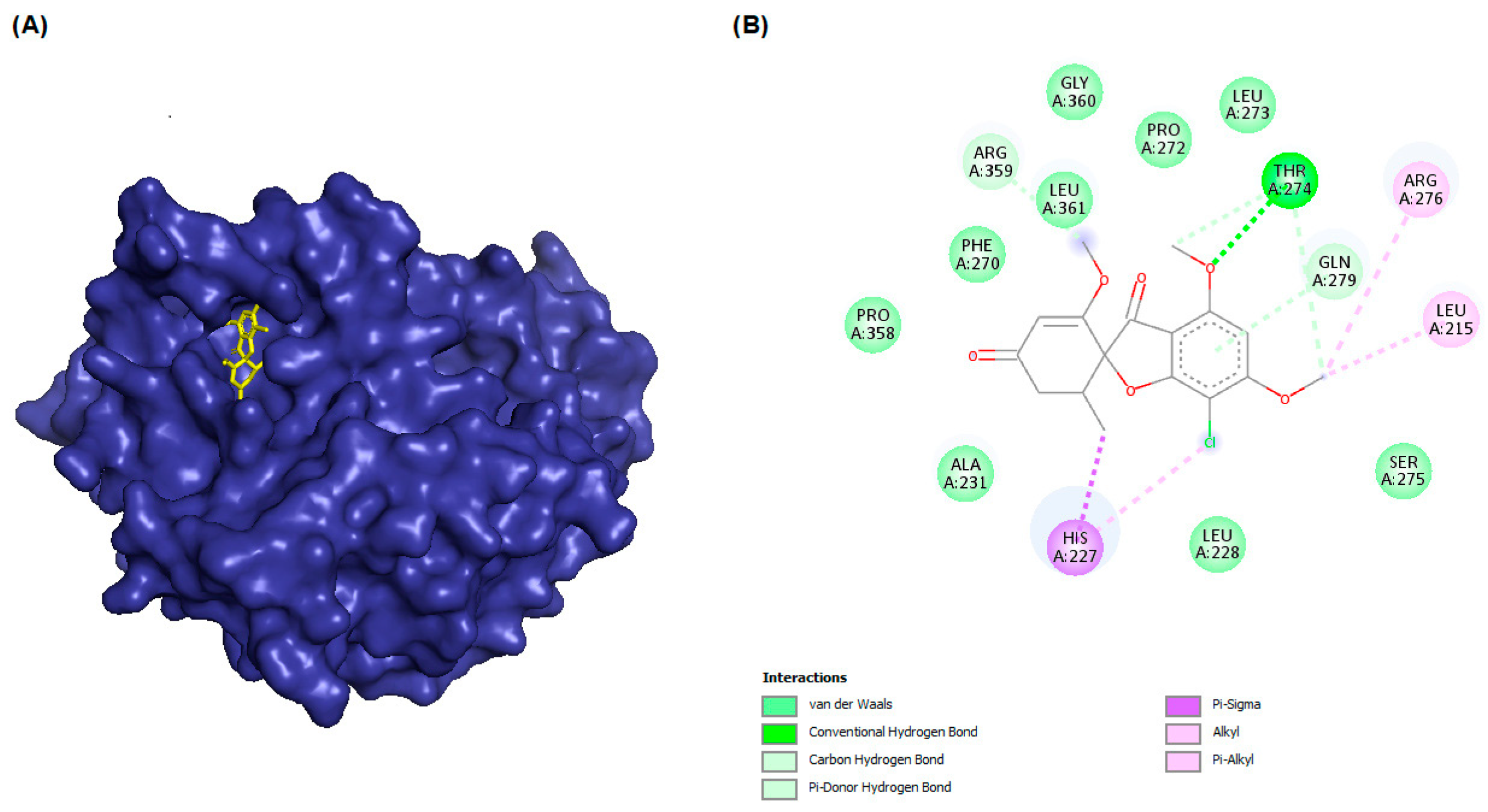 Molecules 28 02384 g001 Molecules 28 02384 g001