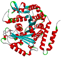 Molecules 28 02384 i014 Molecules 28 02384 i014