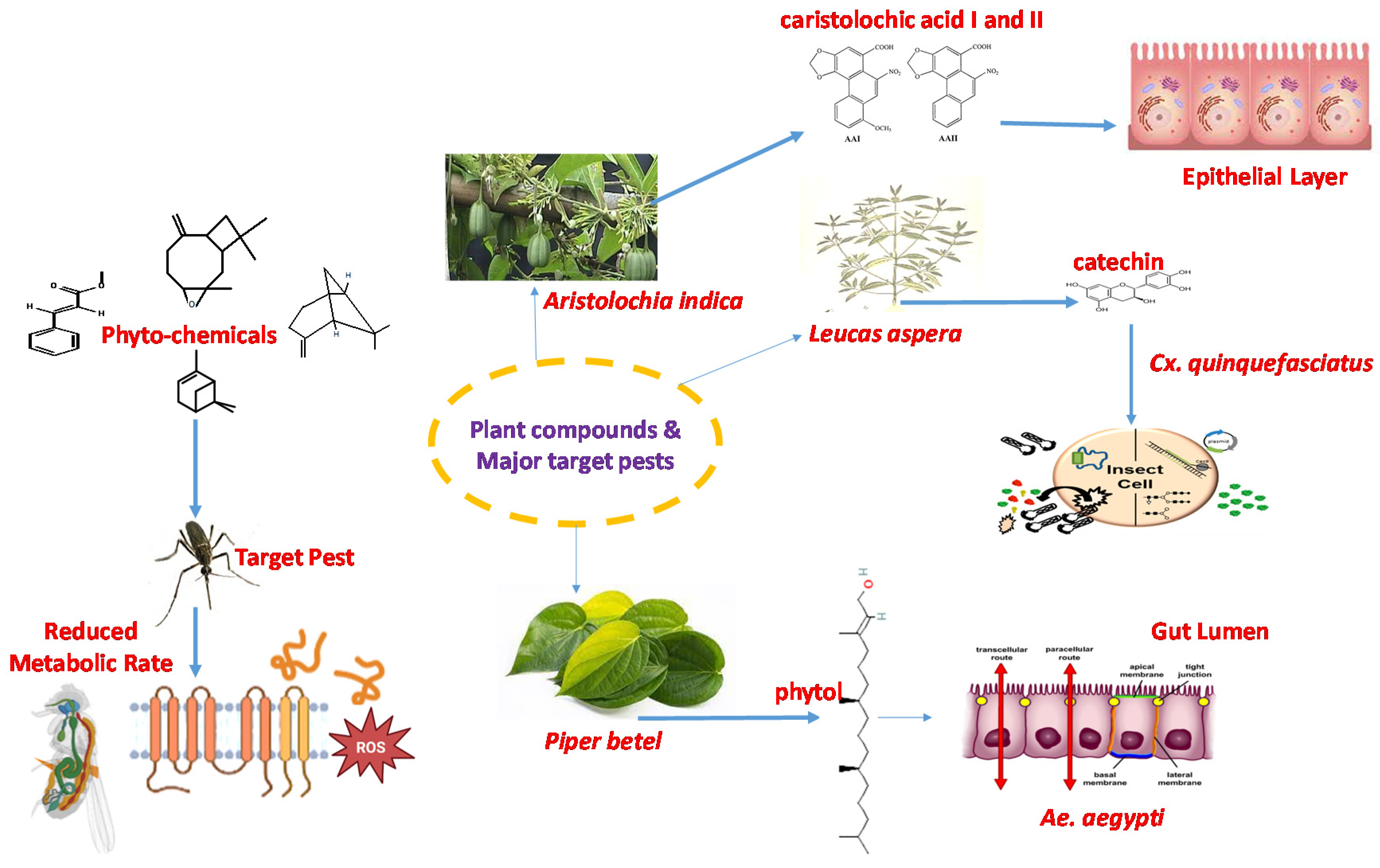 Molecules 28 02386 g002 Molecules 28 02386 g002