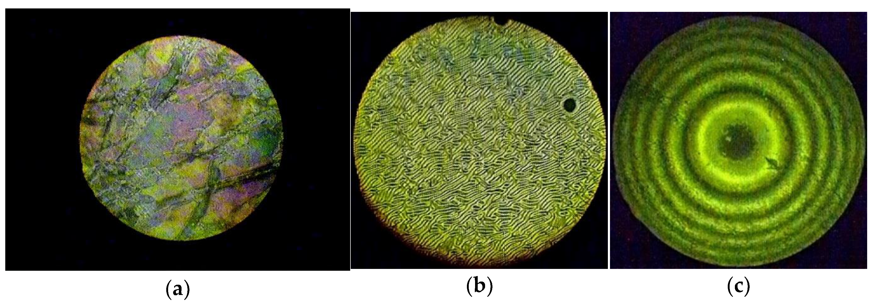 Molecules 28 02388 g004