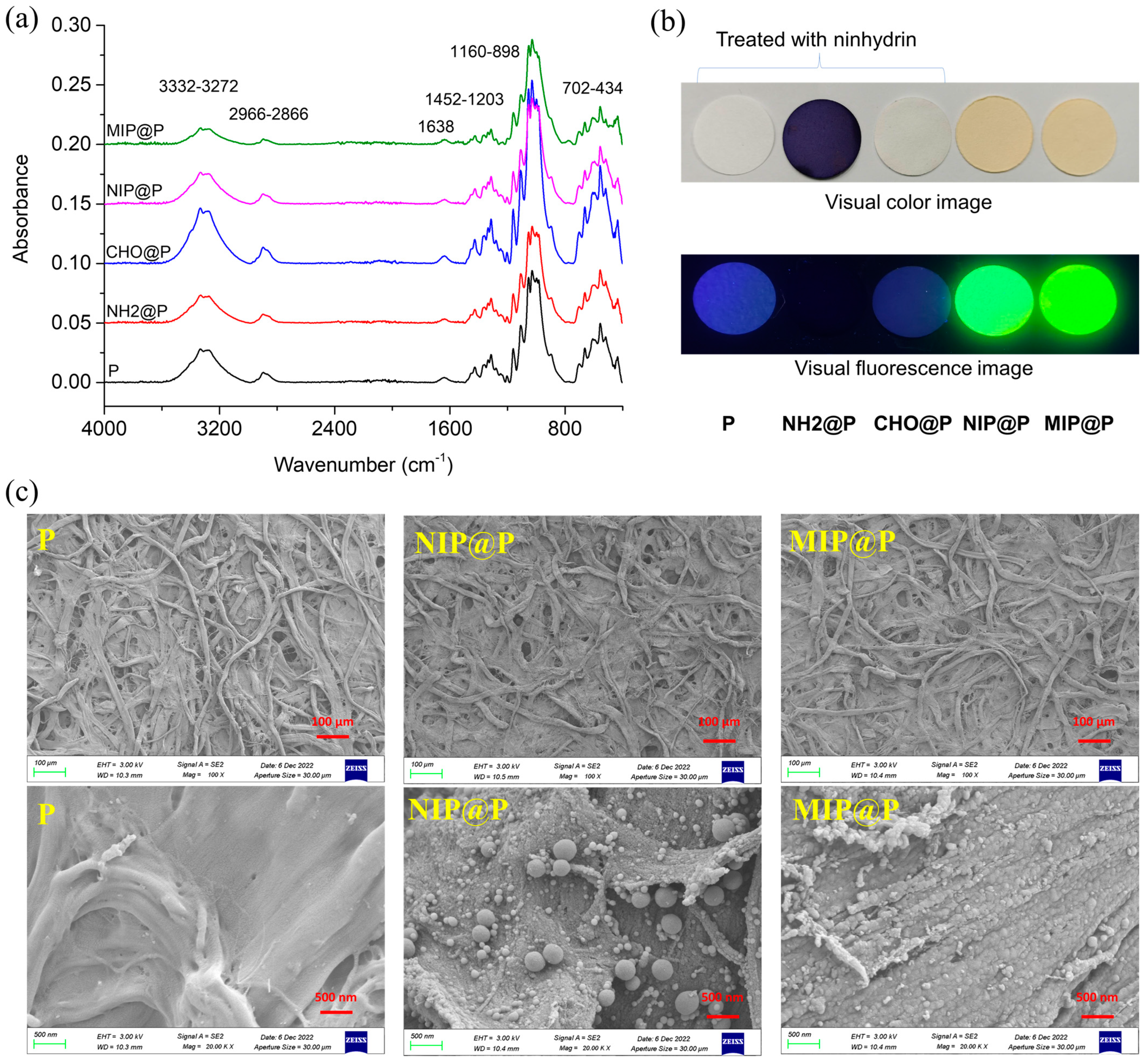 Molecules 28 02398 g003