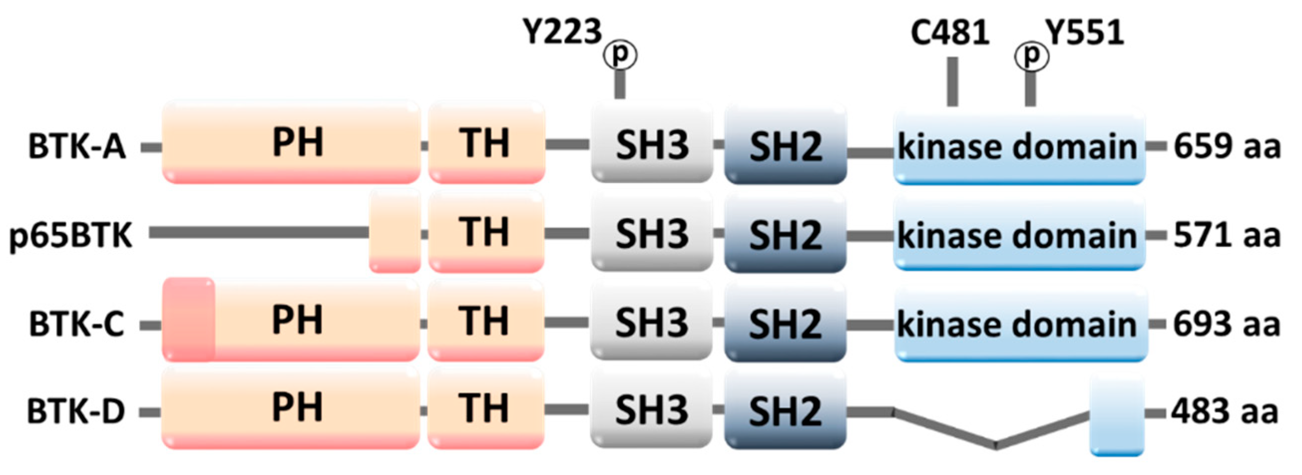 Molecules 28 02400 g002 Molecules 28 02400 g002