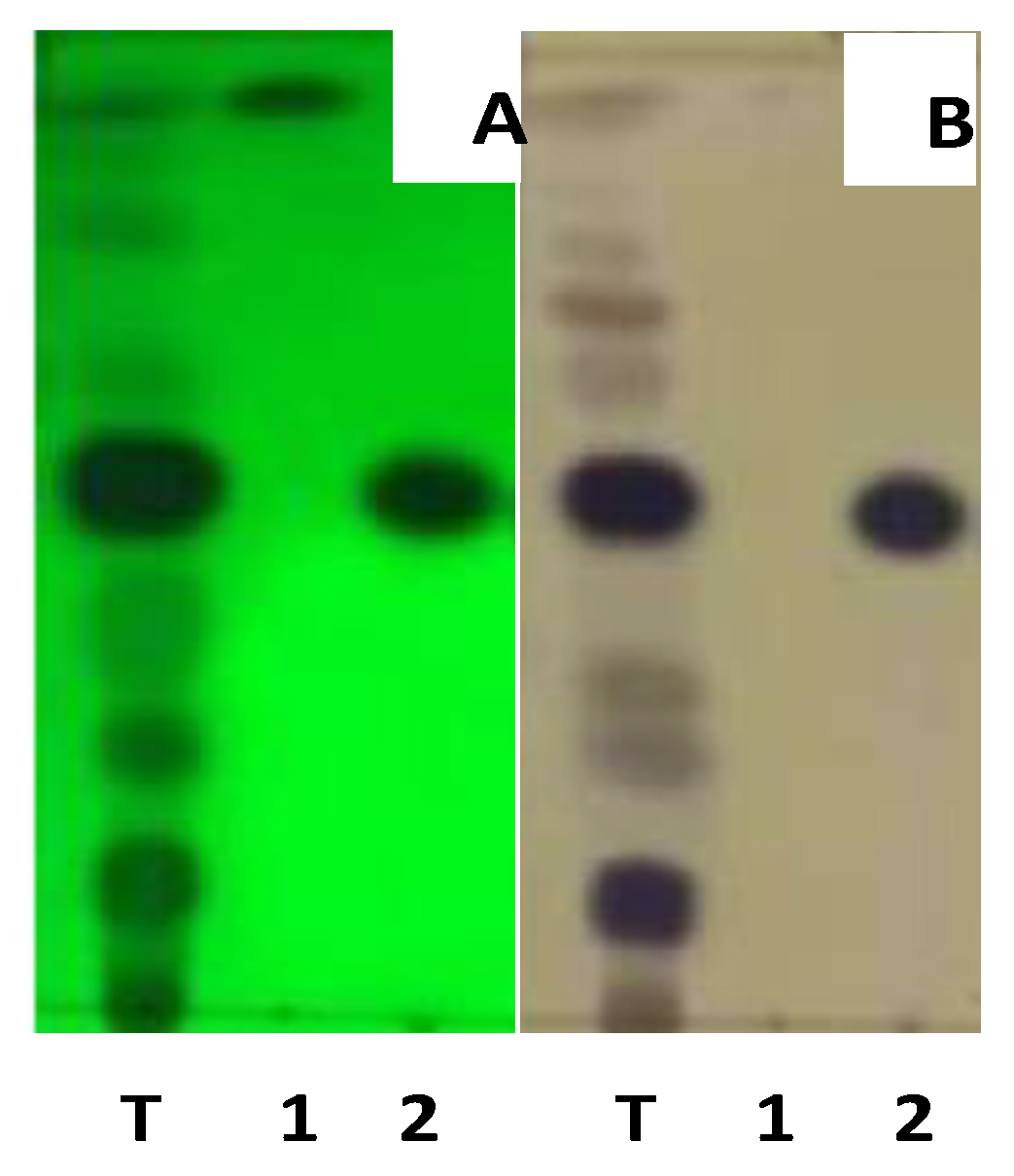Molecules 28 02401 g001