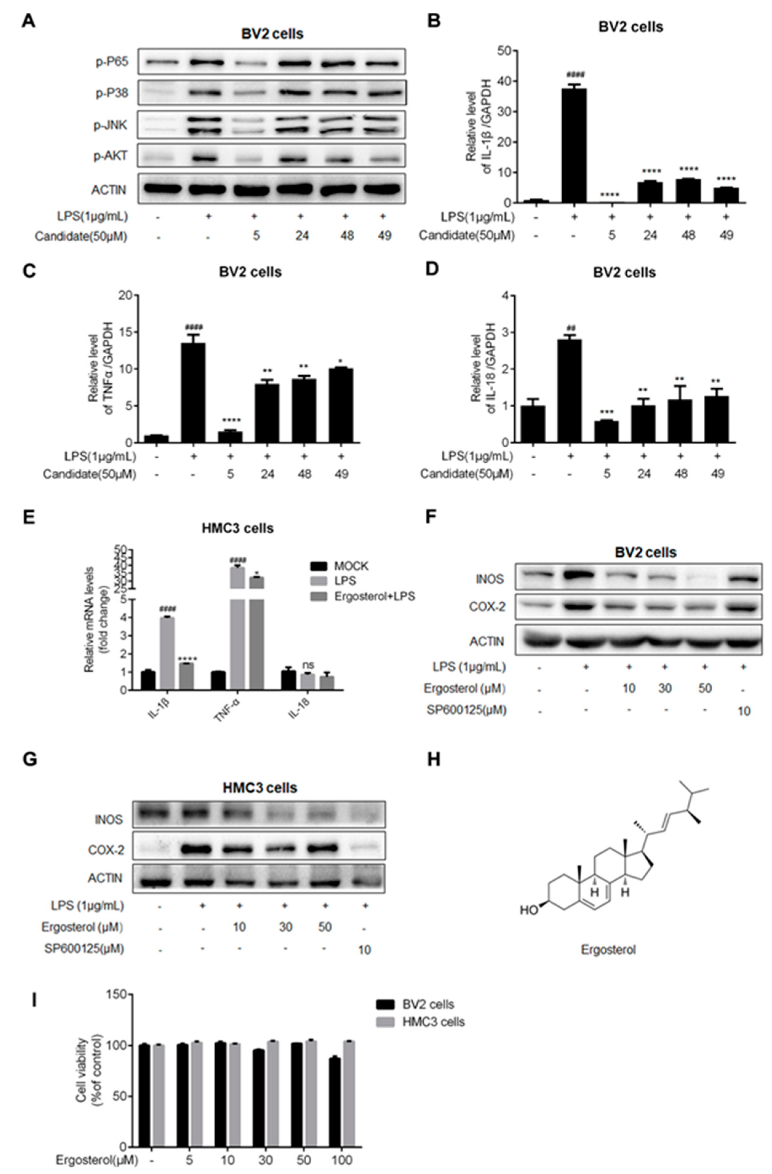 Molecules 28 02406 g001