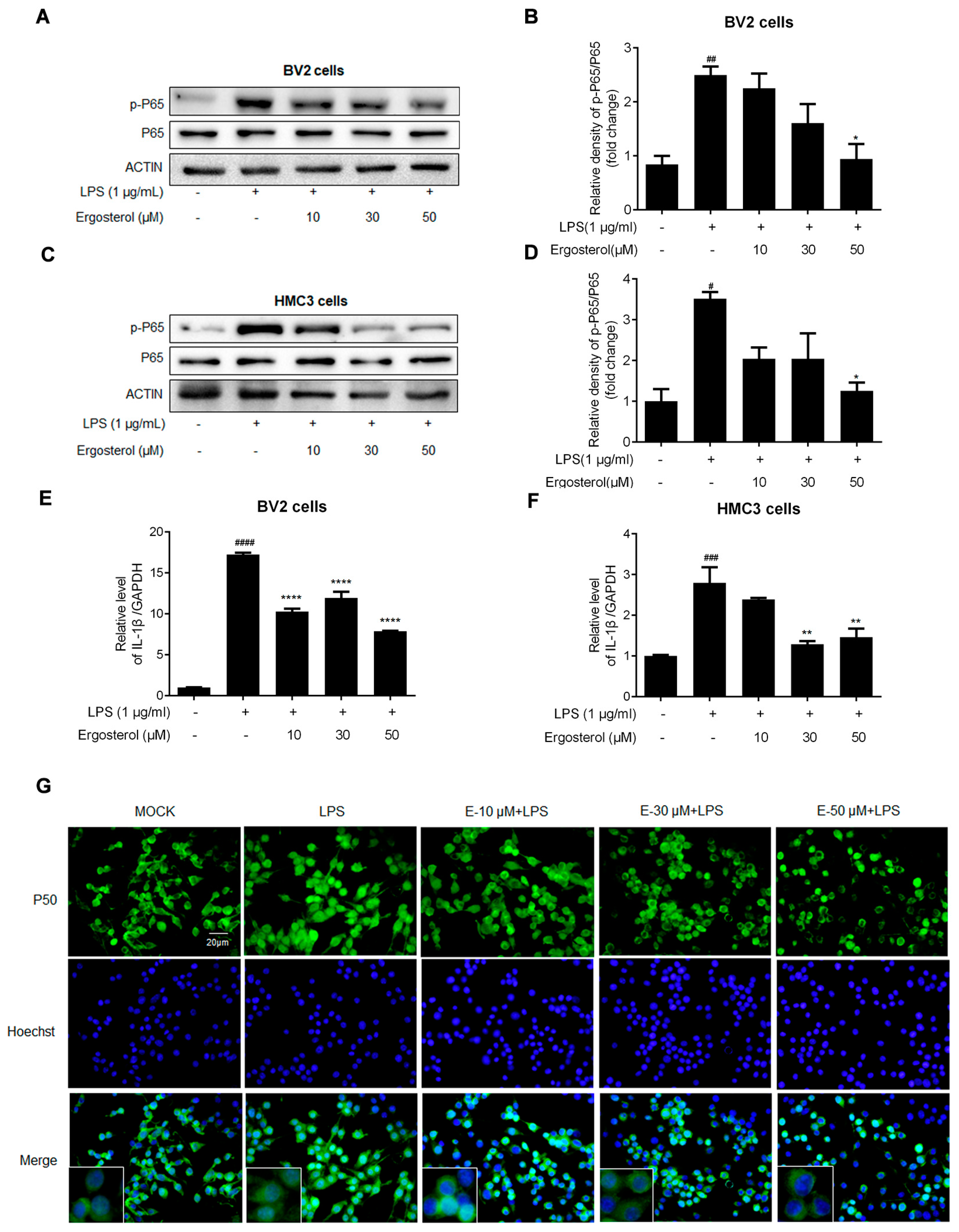 Molecules 28 02406 g002
