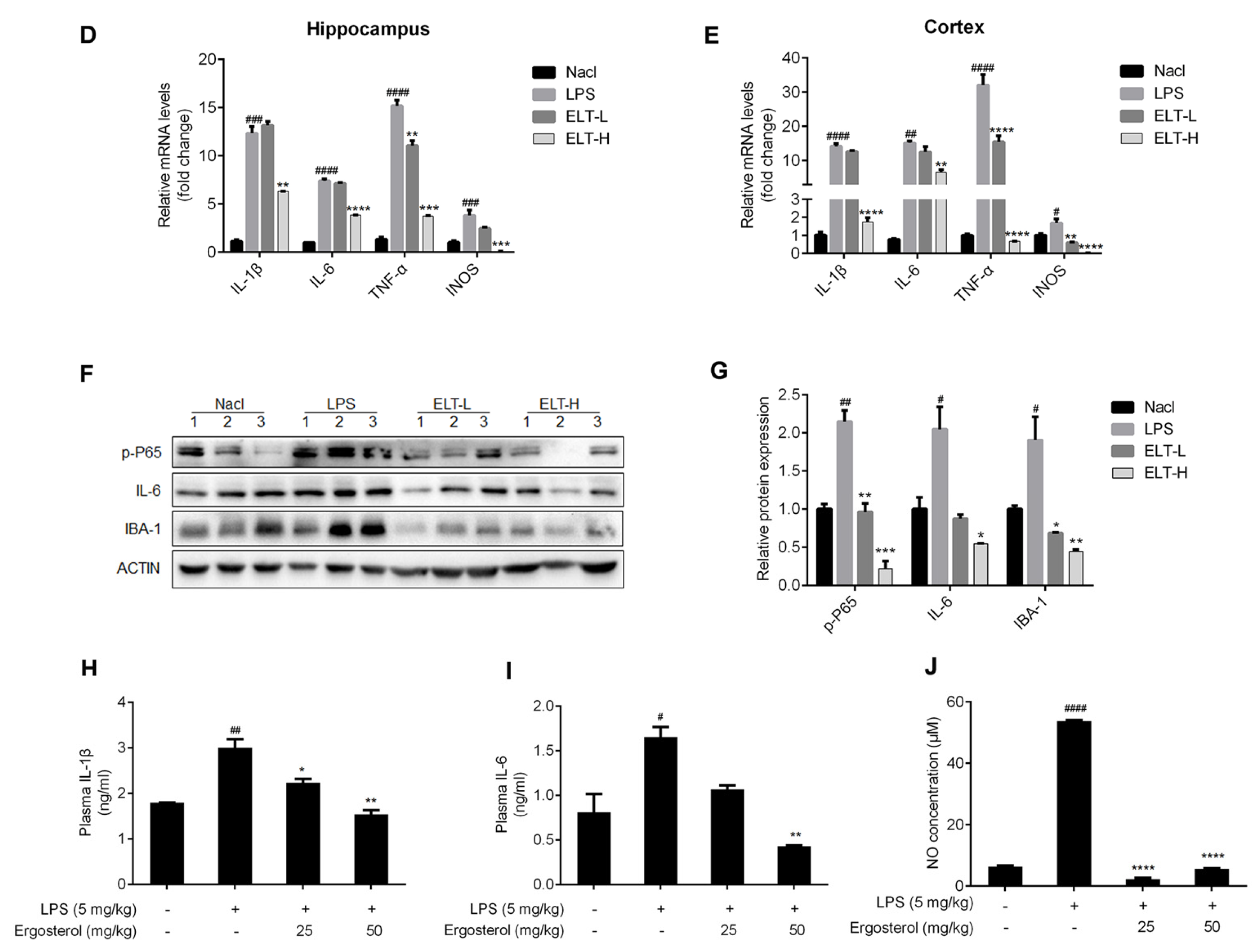Molecules 28 02406 g004b