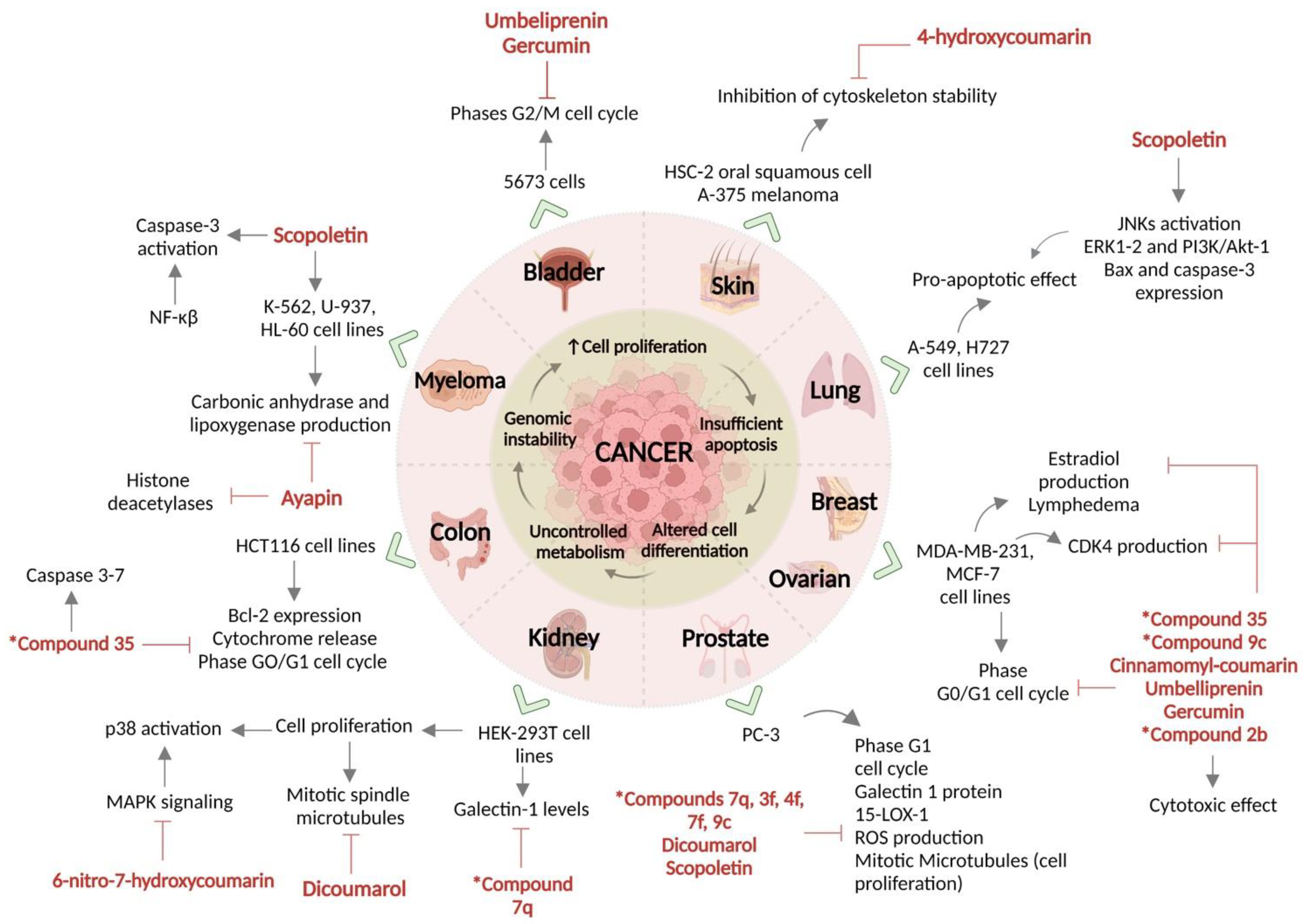 Molecules 28 02413 g023