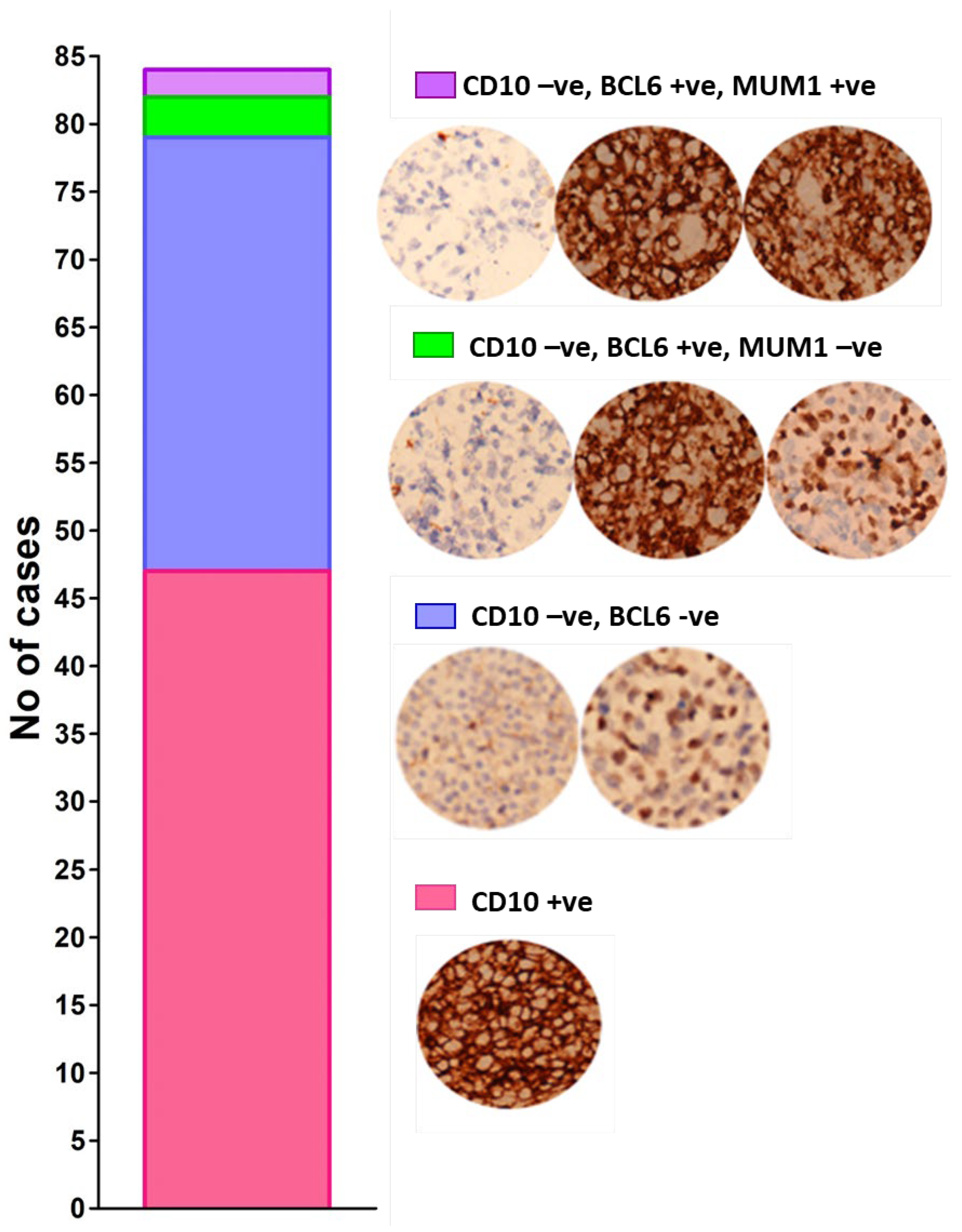 Molecules 28 02441 g001 Molecules 28 02441 g001