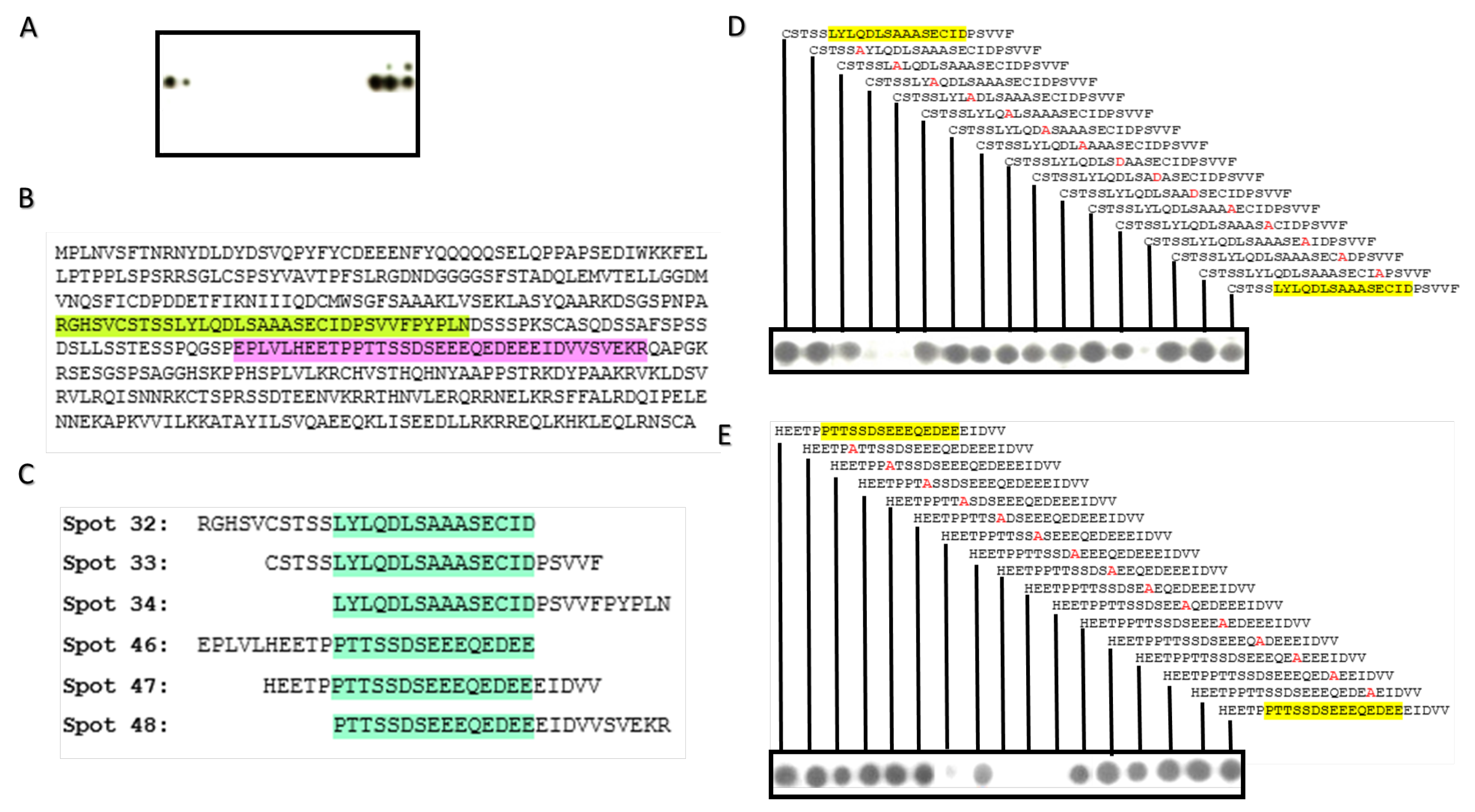 Molecules 28 02441 g005 Molecules 28 02441 g005