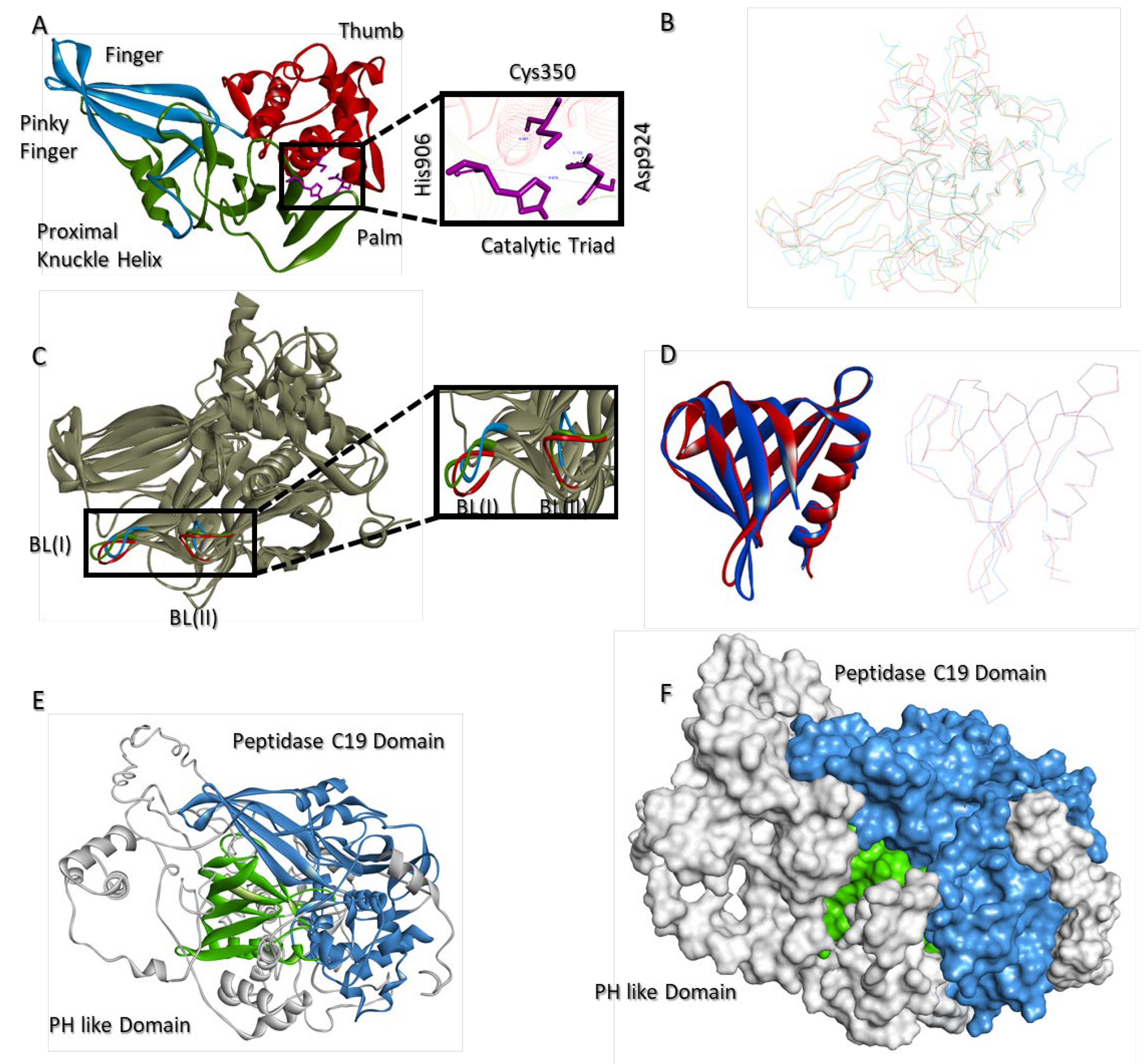 Molecules 28 02441 g008 Molecules 28 02441 g008