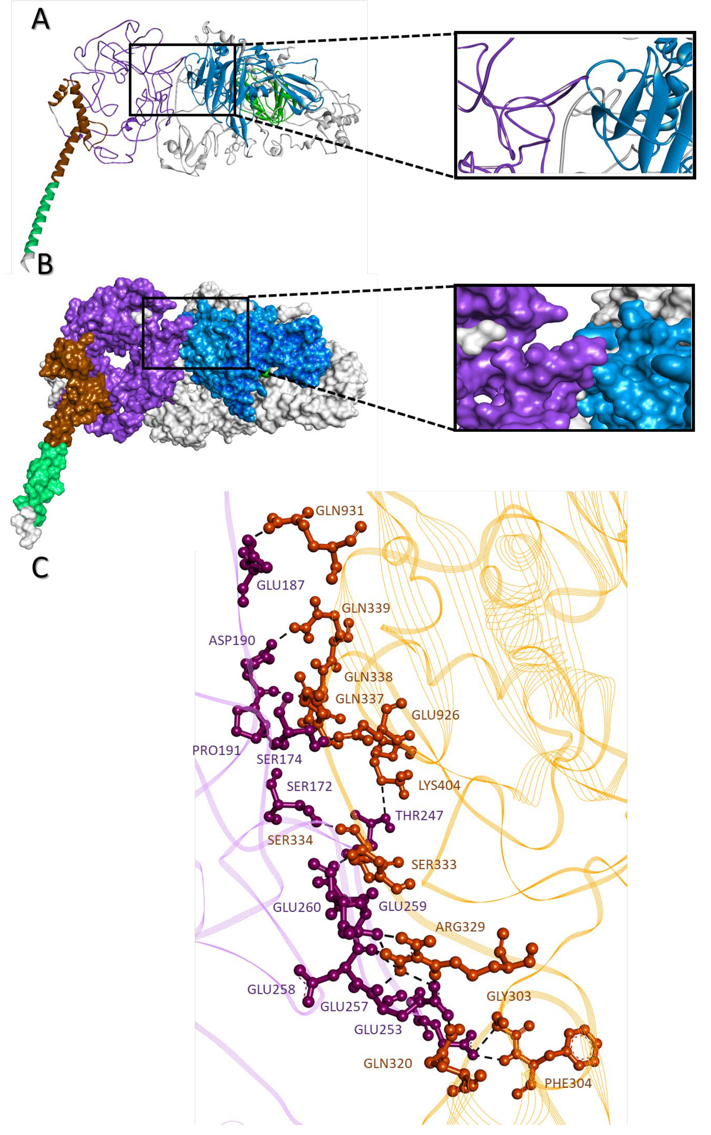 Molecules 28 02441 g009 Molecules 28 02441 g009