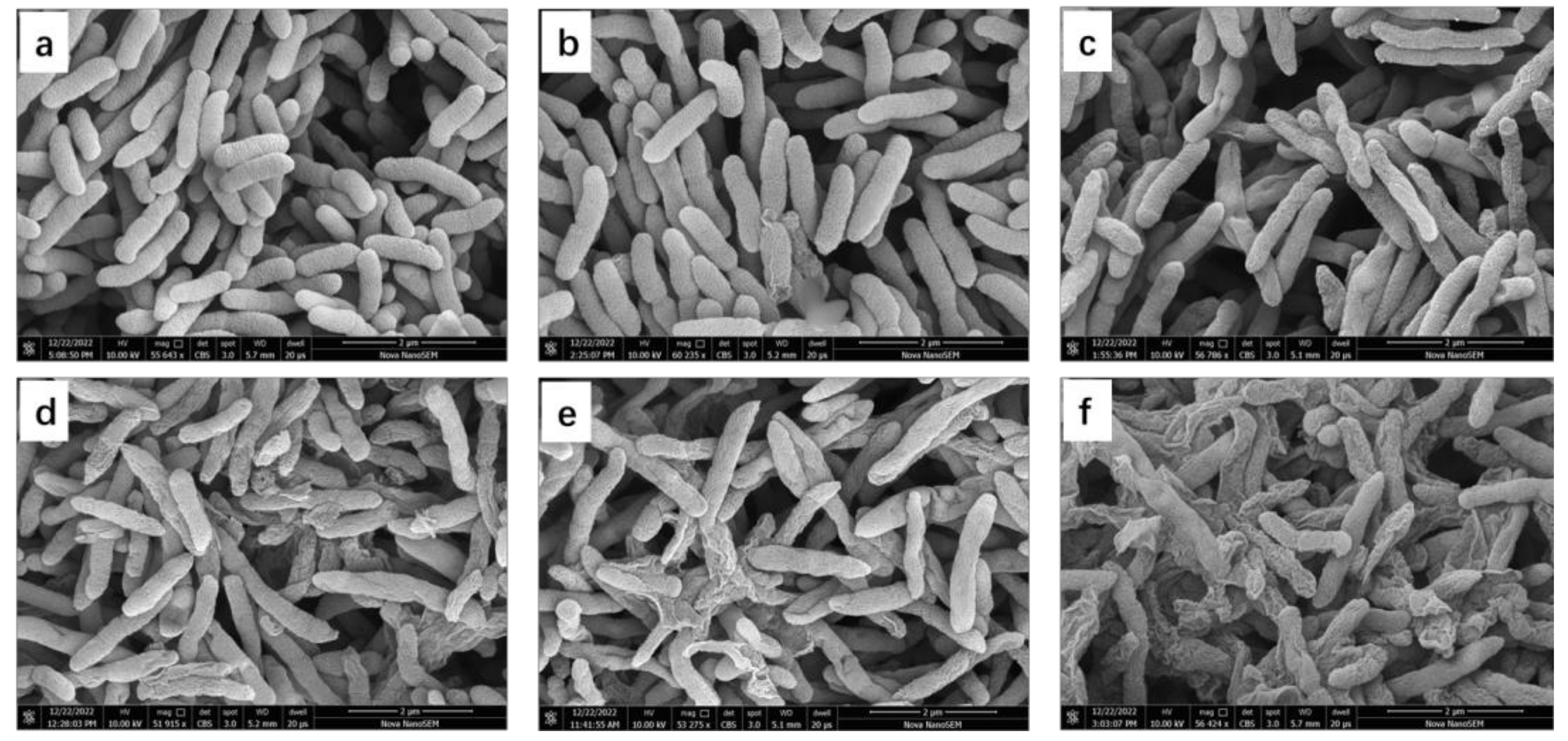 Molecules 28 02442 g006