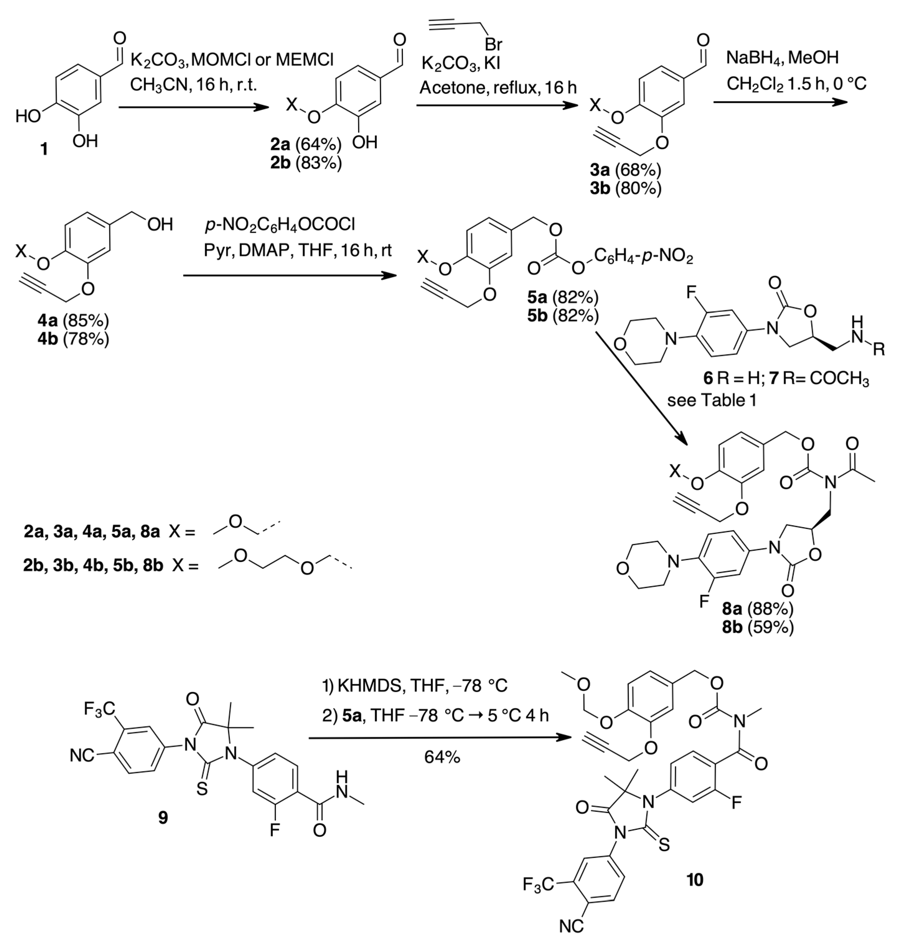 Molecules 28 02445 sch002