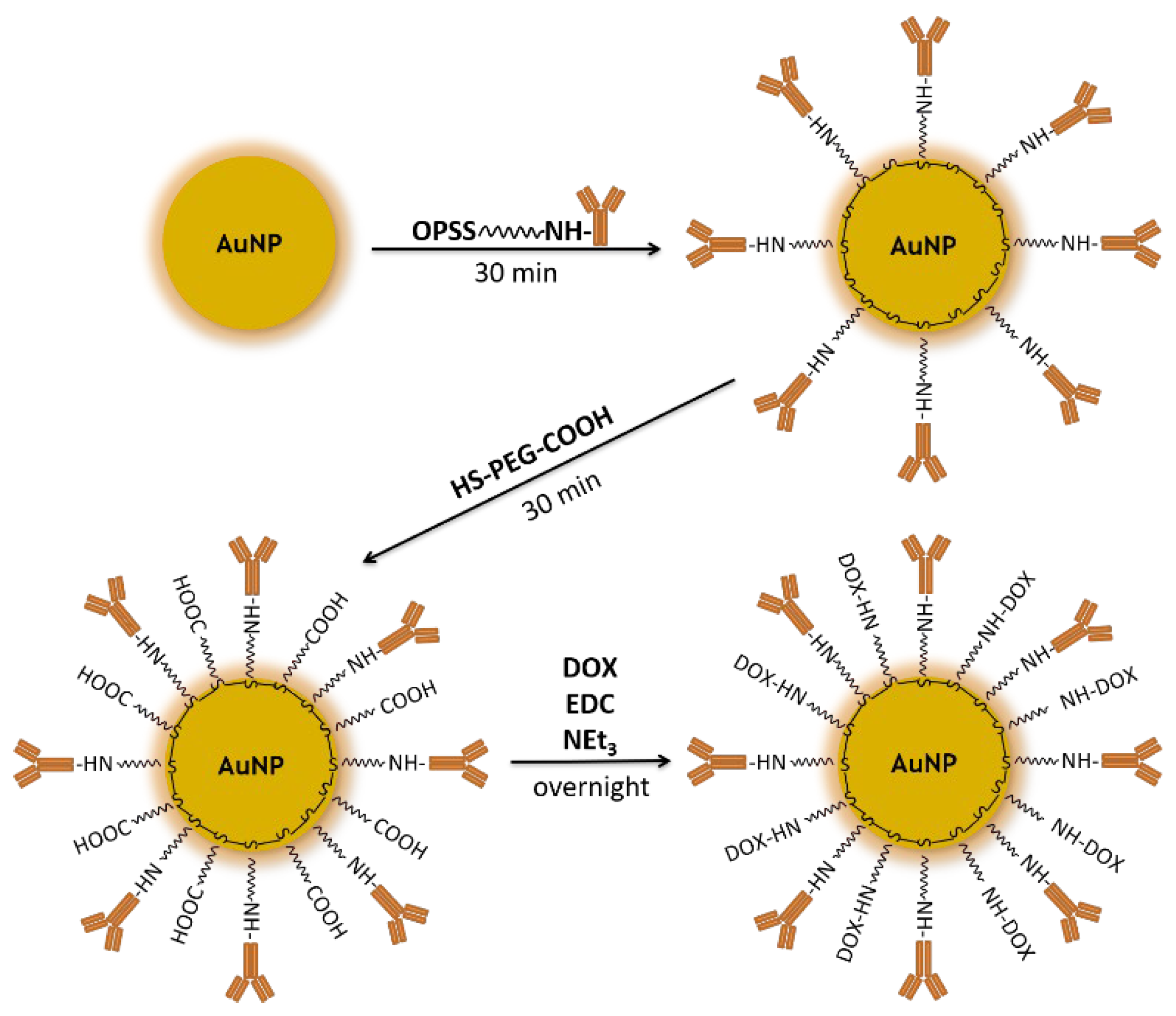 Molecules 28 02451 g001 Molecules 28 02451 g001