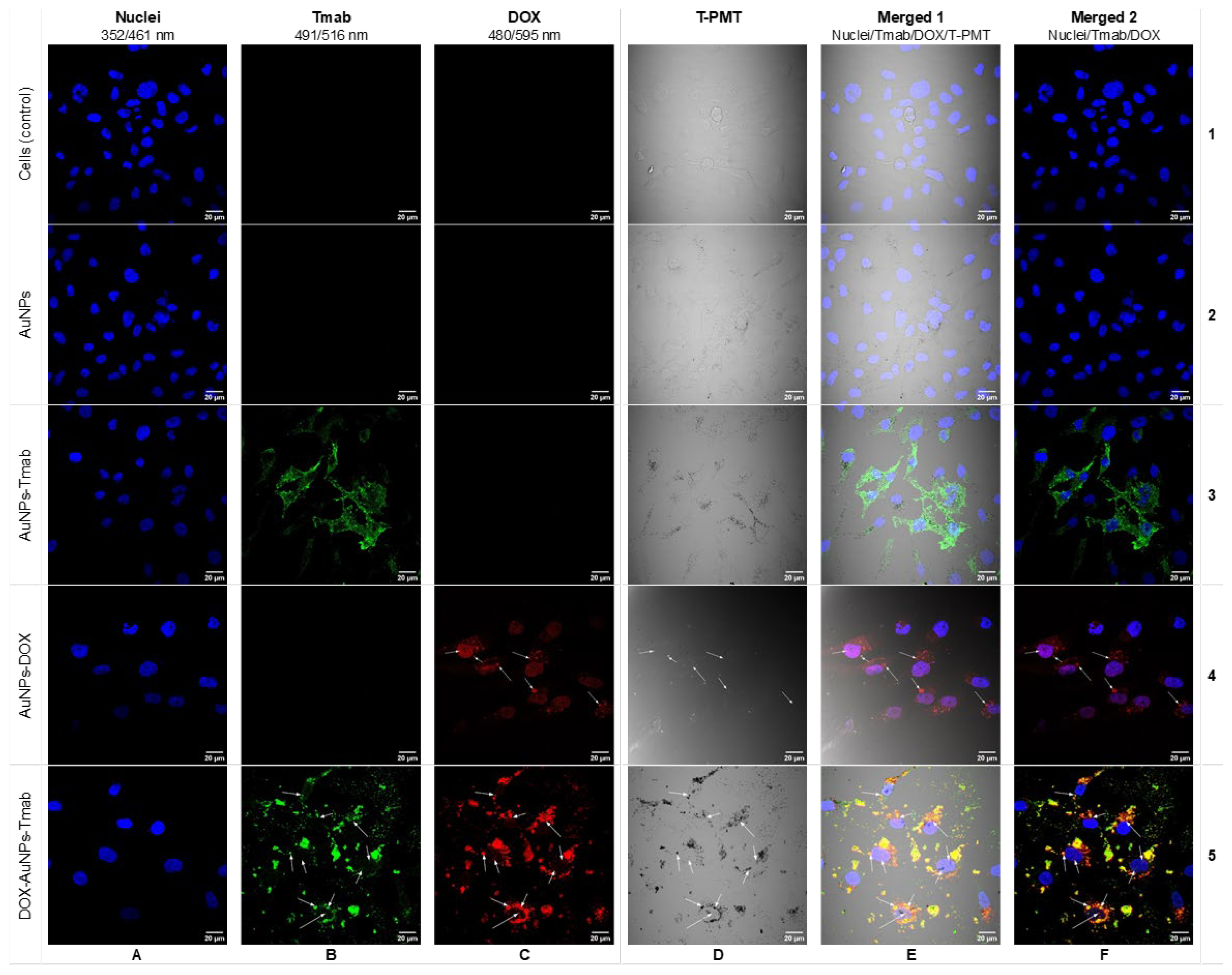 Molecules 28 02451 g006 Molecules 28 02451 g006