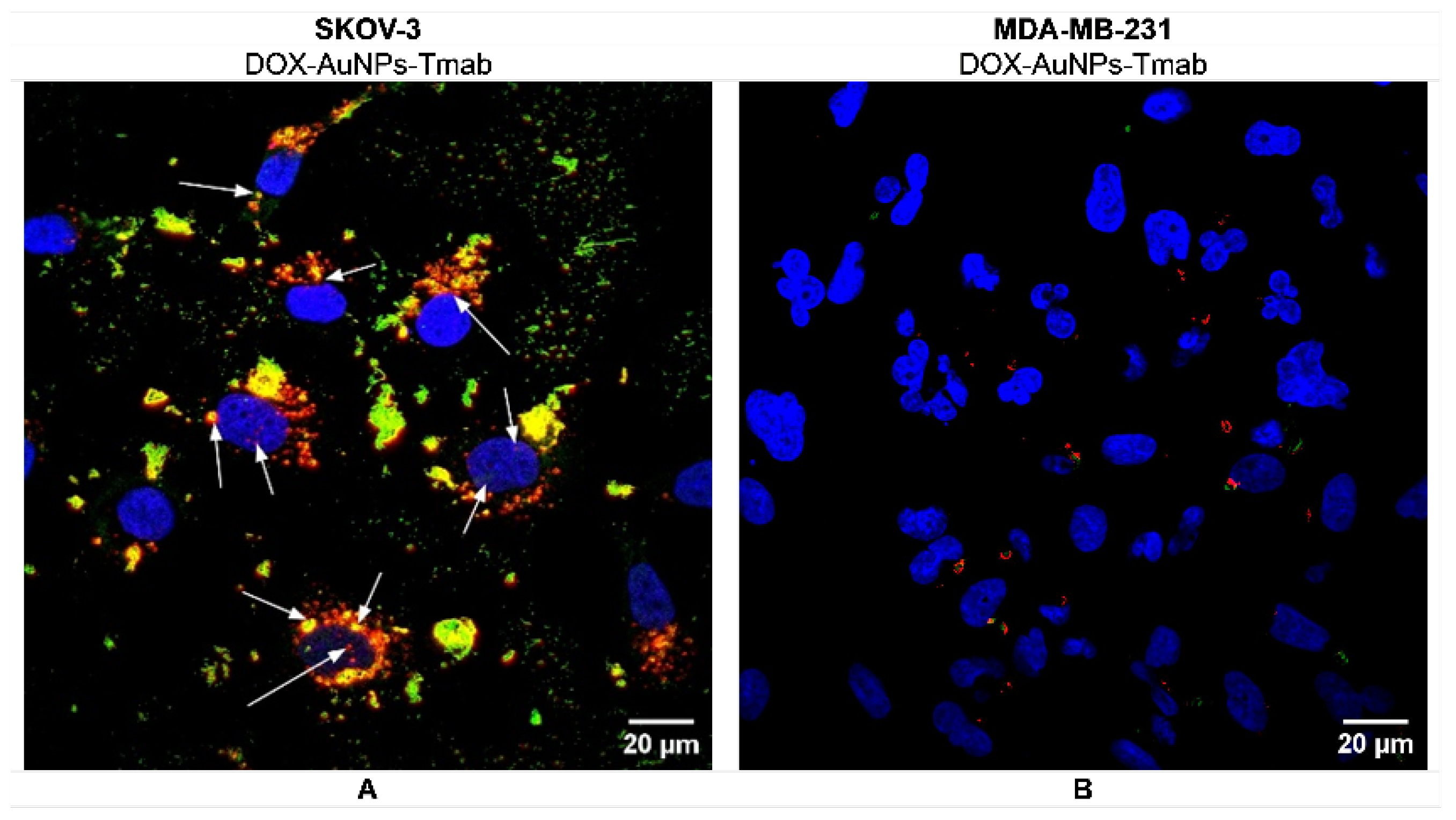 Molecules 28 02451 g007 Molecules 28 02451 g007