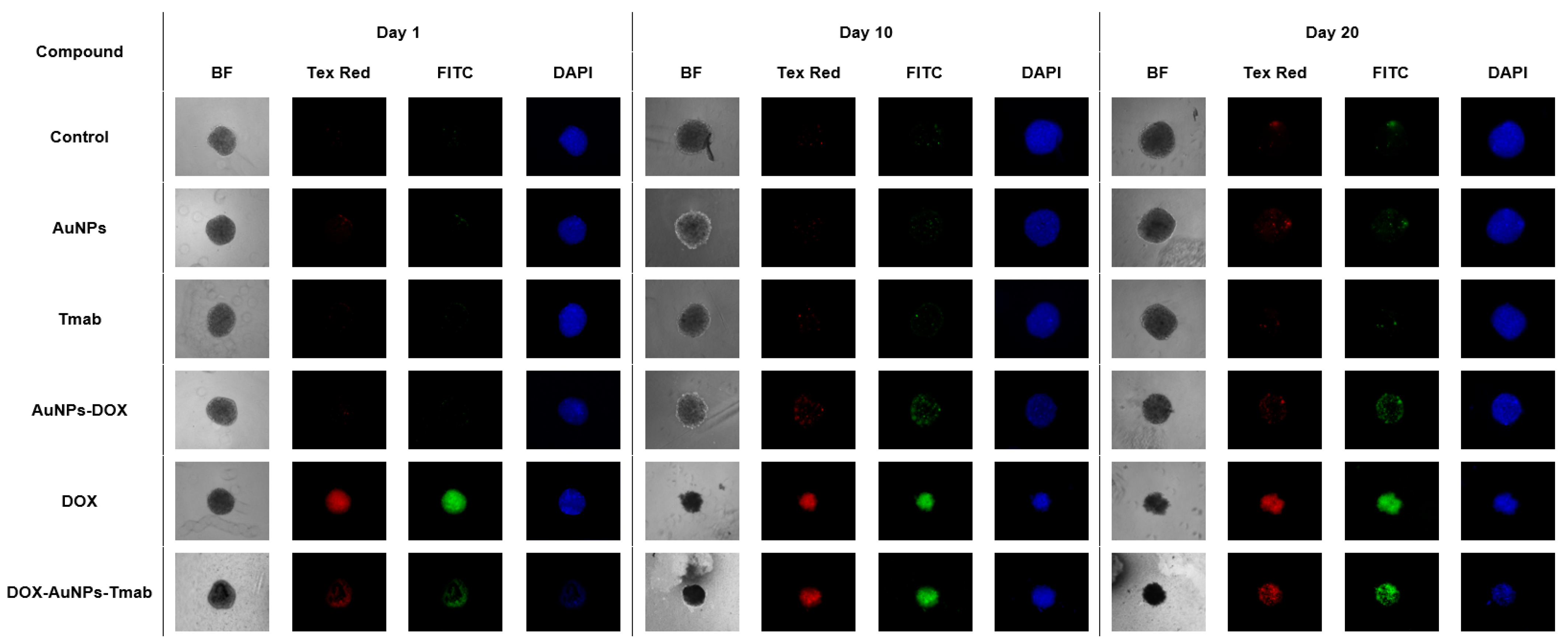 Molecules 28 02451 g012 Molecules 28 02451 g012
