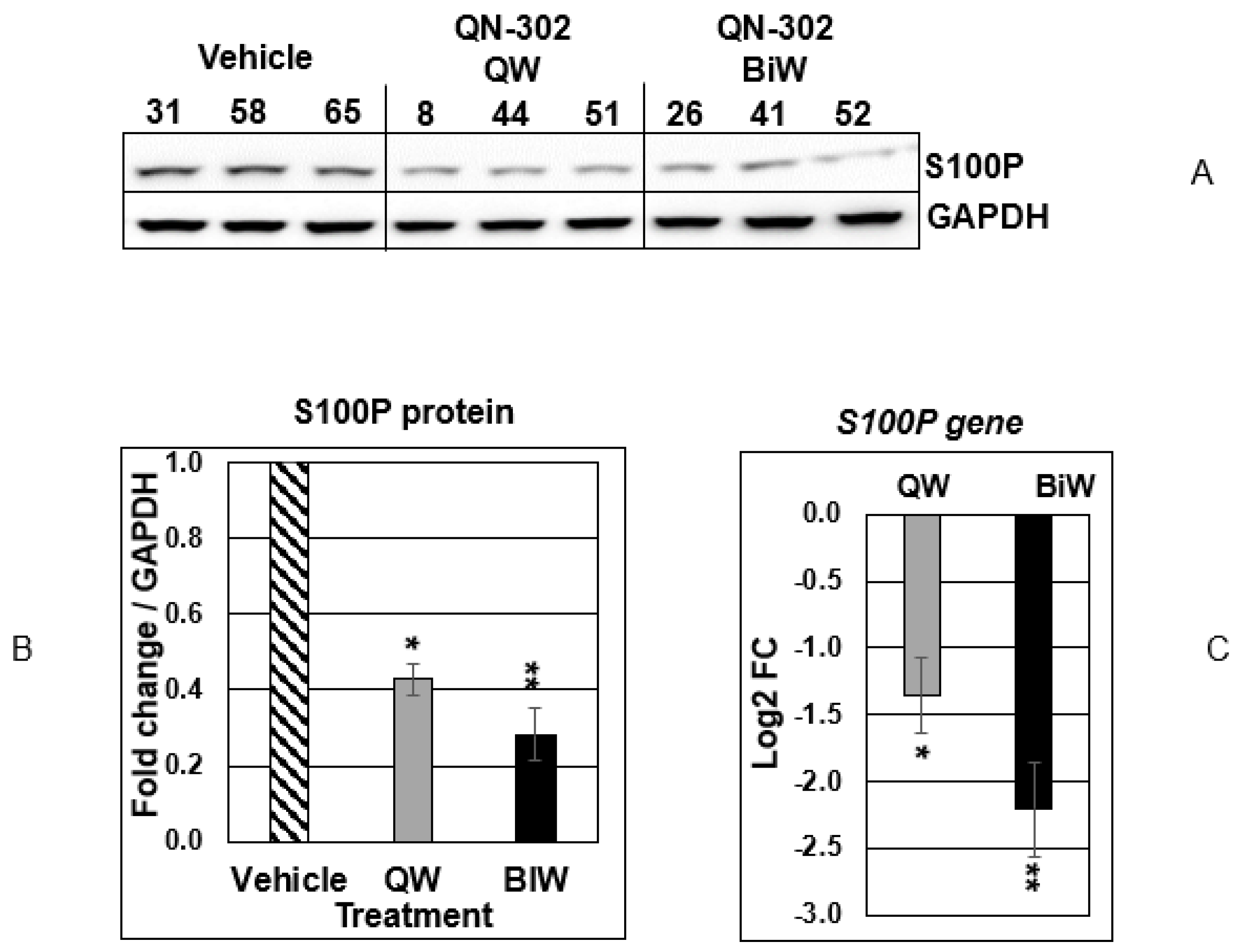 Molecules 28 02452 g002